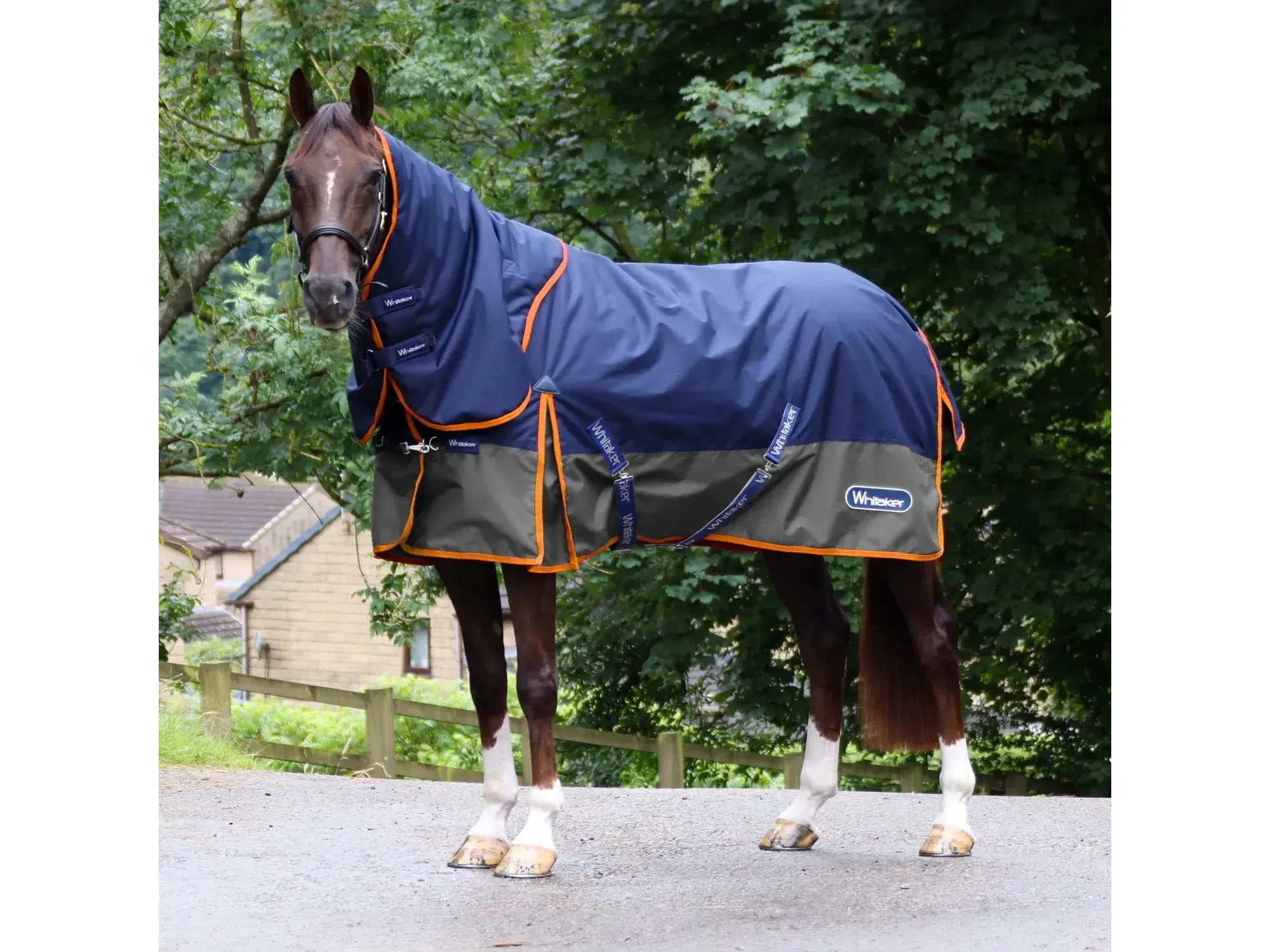 Whitaker Rastrick V2 250g Combo Turnout Rug - Limited Edition
