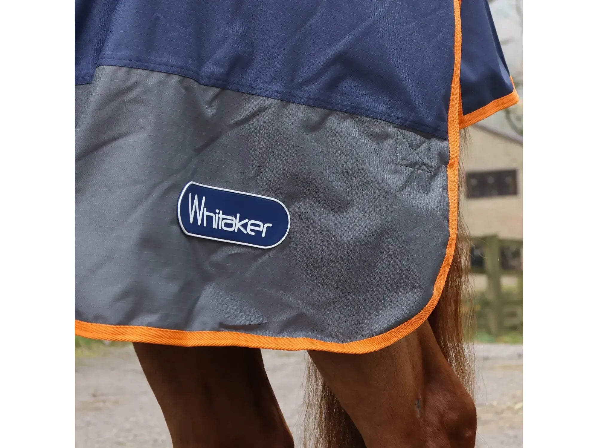 Whitaker Rastrick V2 250g Combo Turnout Rug - Limited Edition