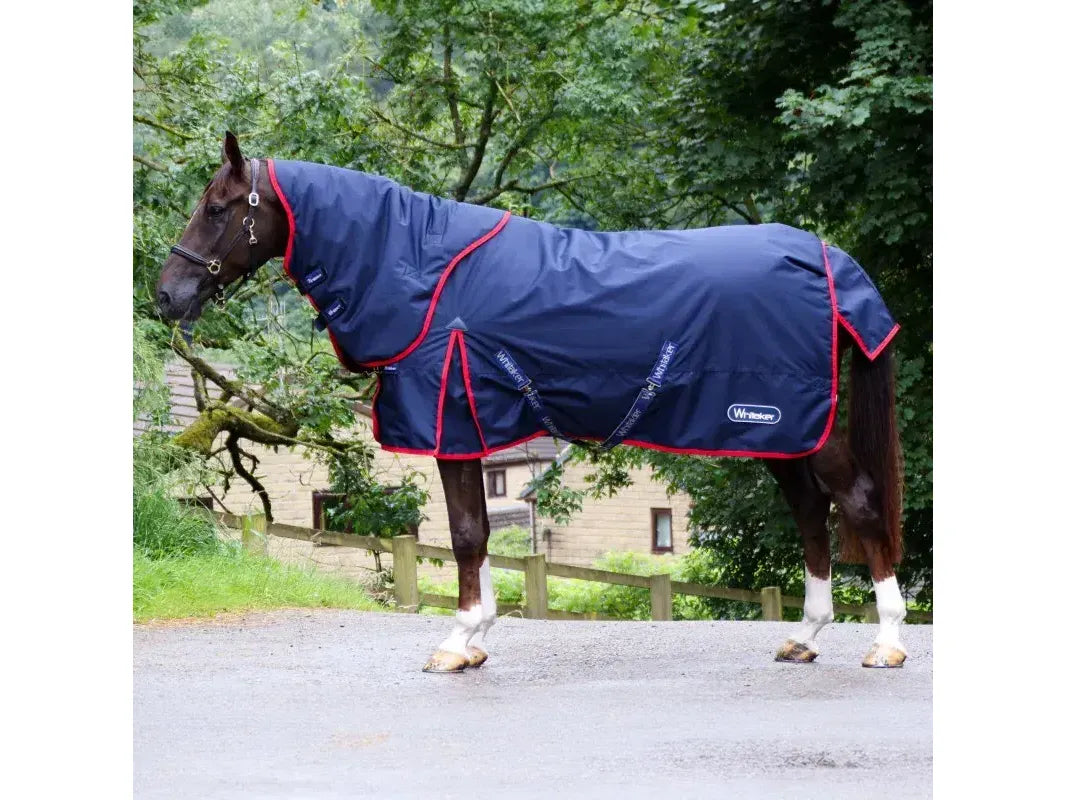 Whitaker Rastrick V2 250g Combo Turnout Rug