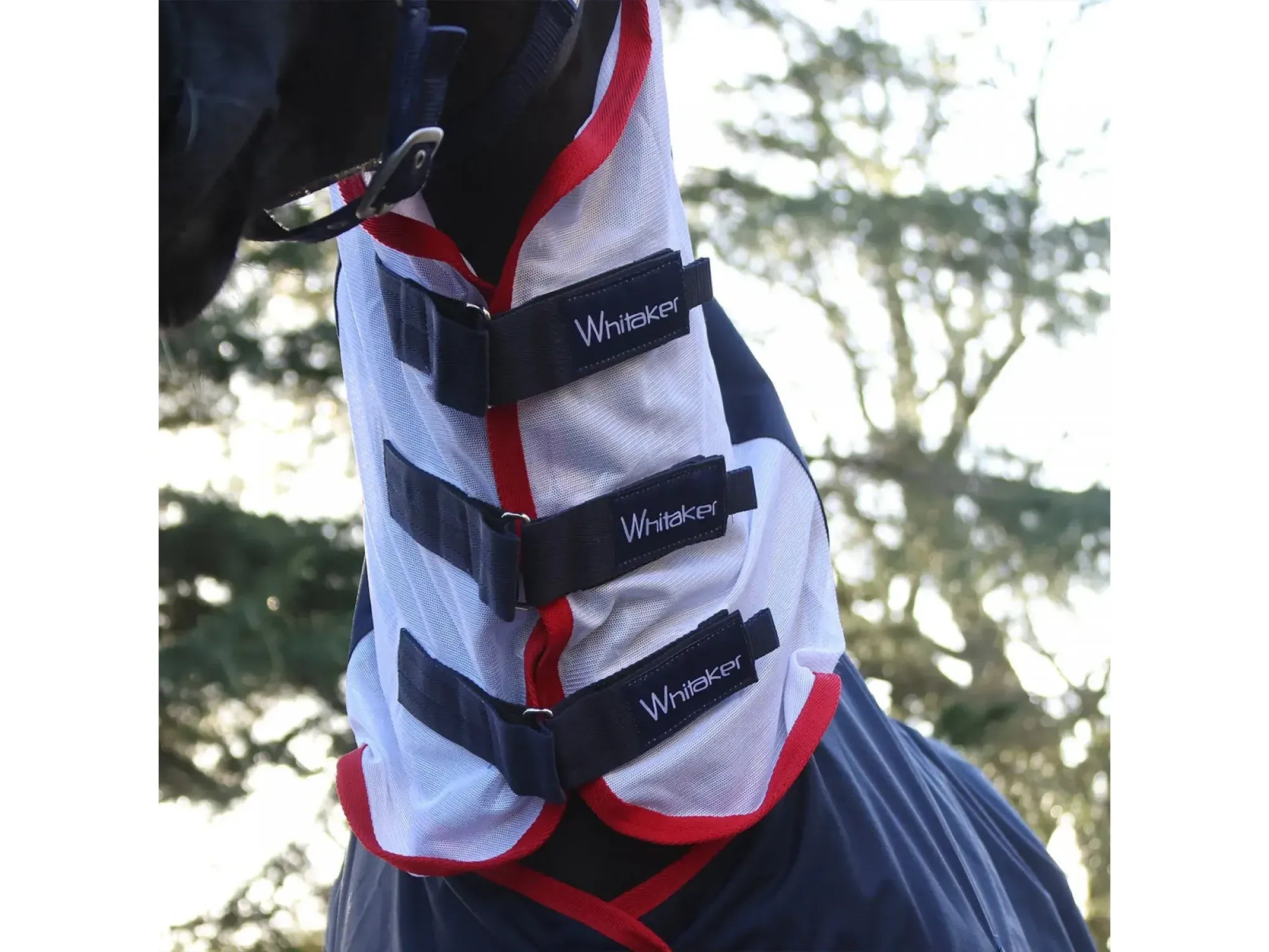 Whitaker Rastrick V2 Airflo with Fixed Neck