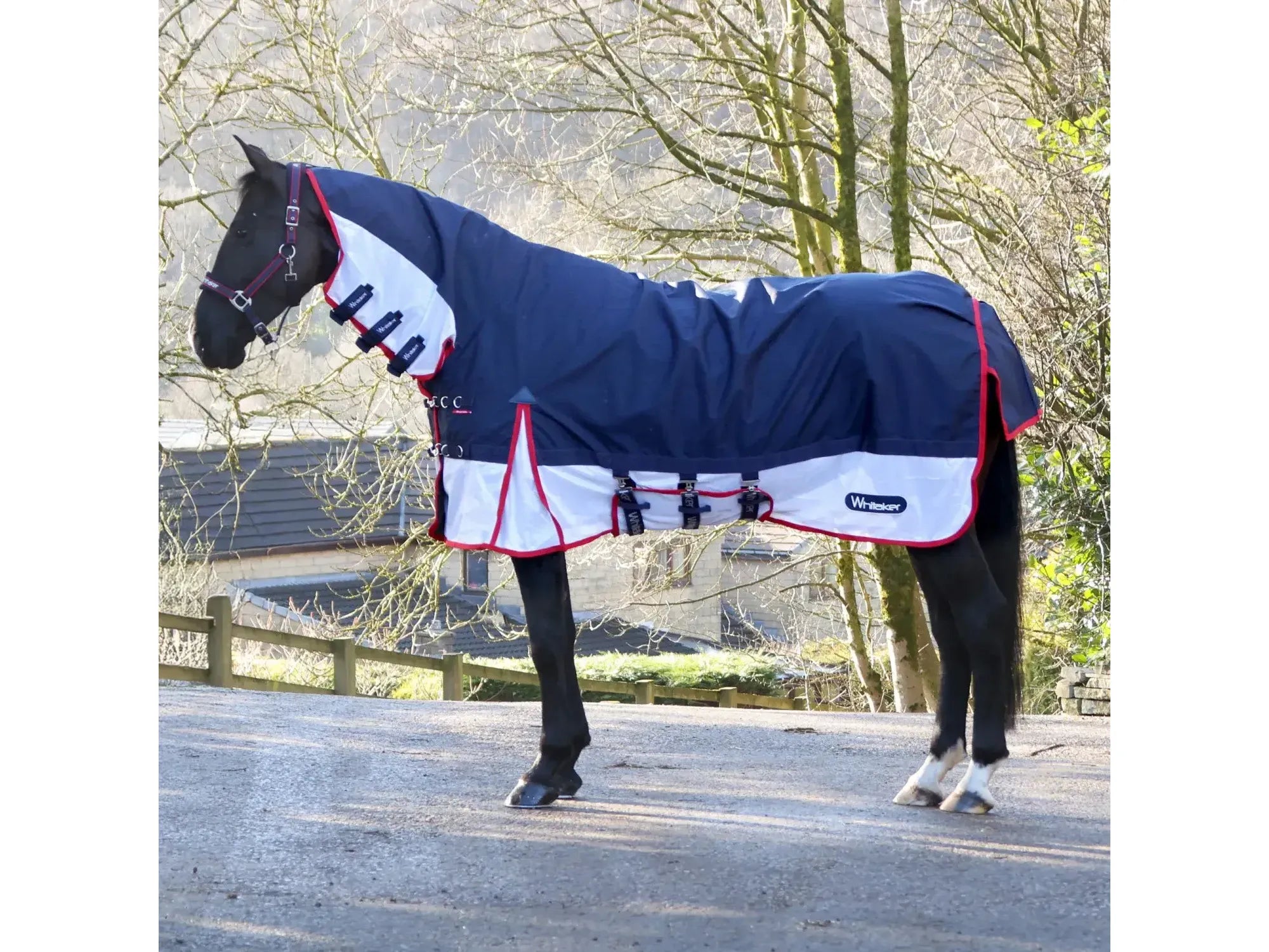 Whitaker Rastrick V2 Airflo with Fixed Neck