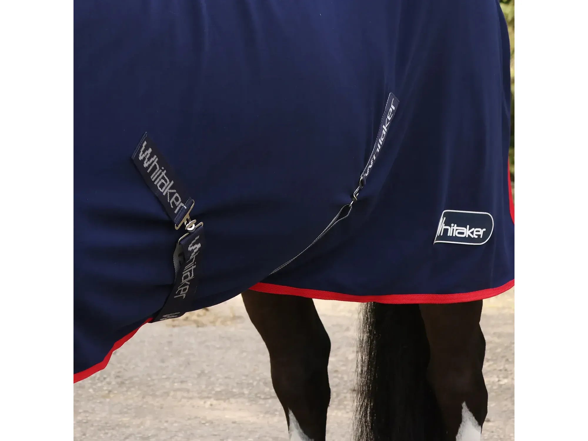 Whitaker Rastrick V2 Stable Sheet
