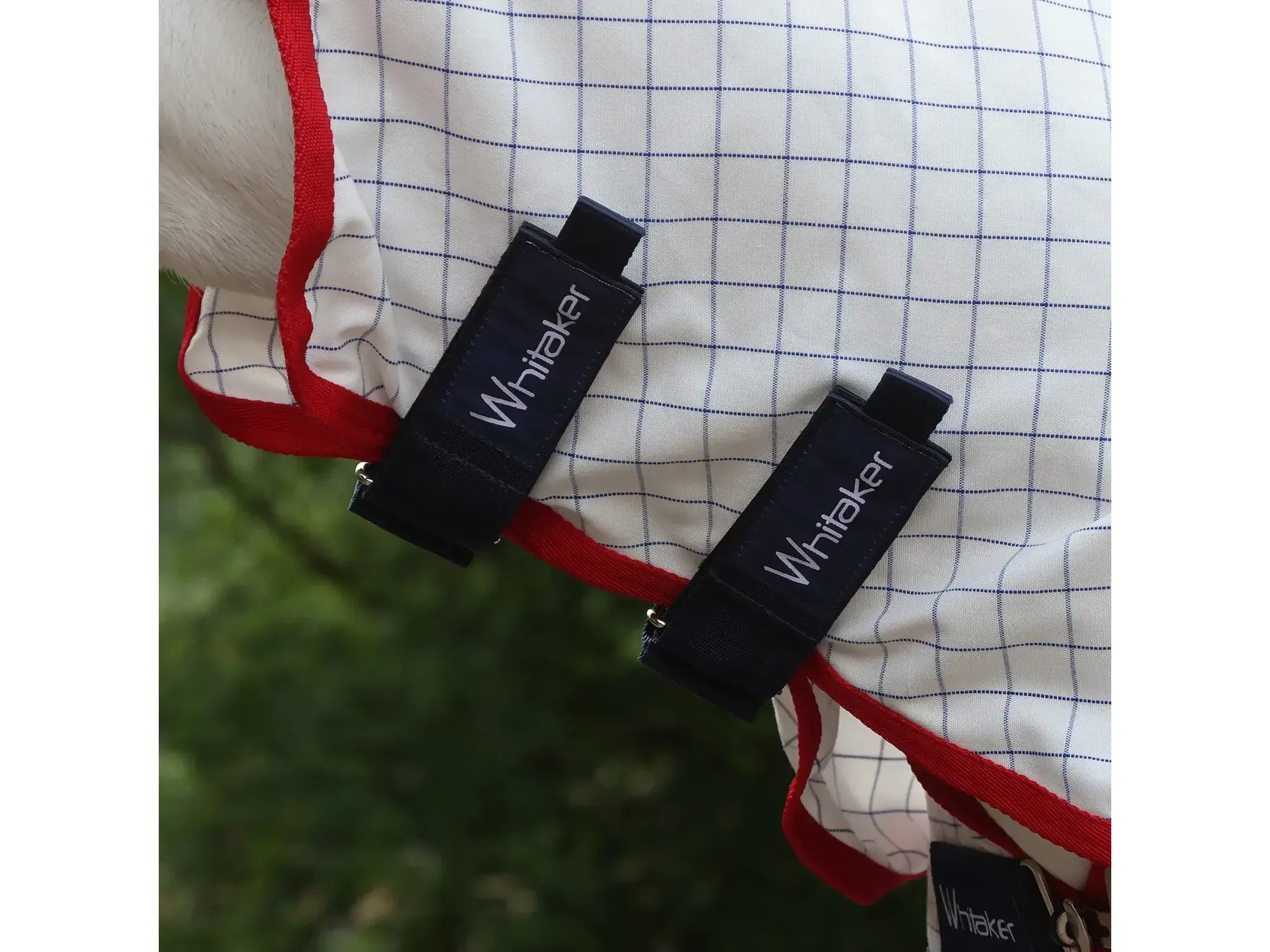 Whitaker Rastrick V2 UV Cool Rug