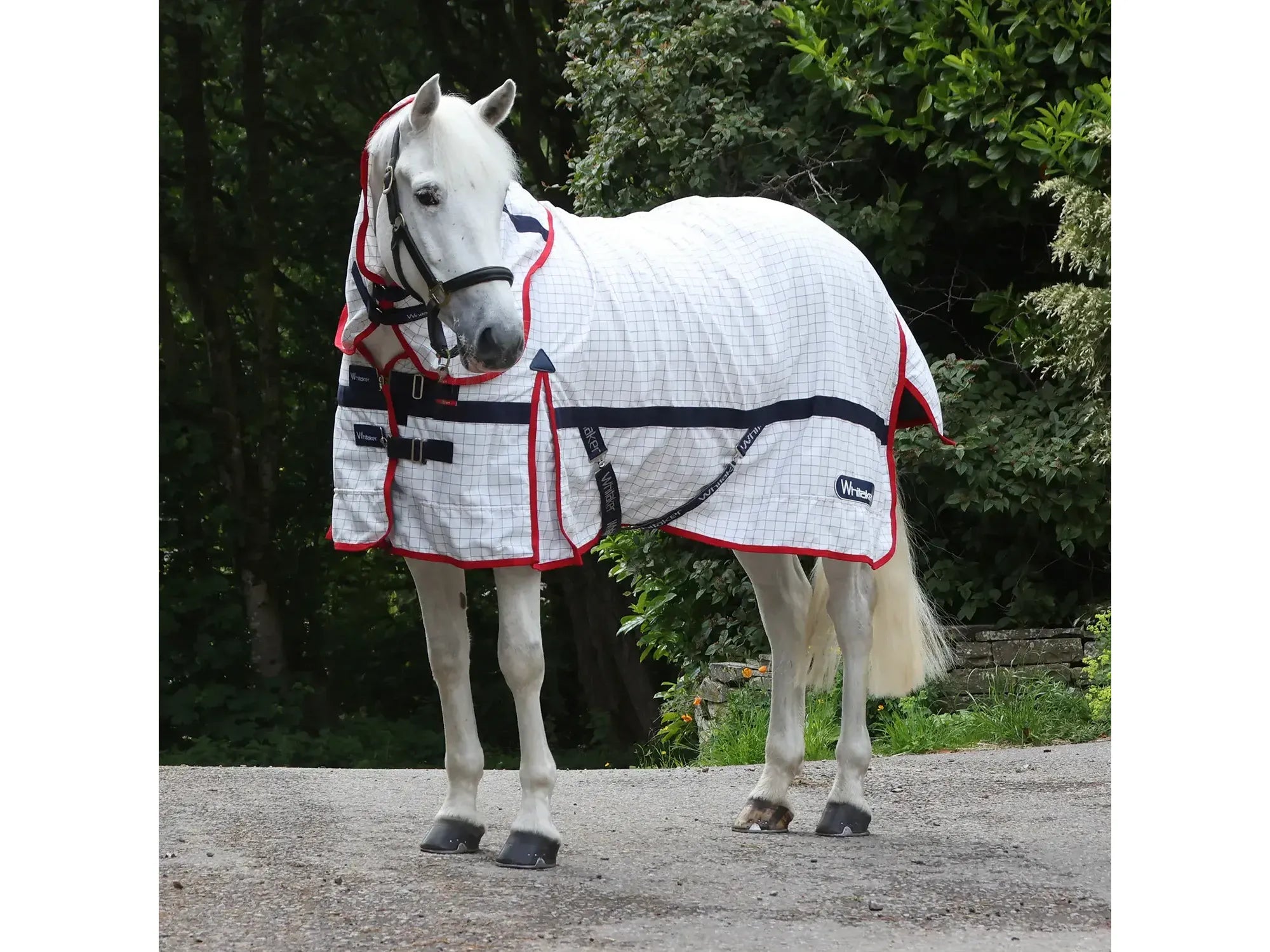 Whitaker Rastrick V2 UV Cool Rug