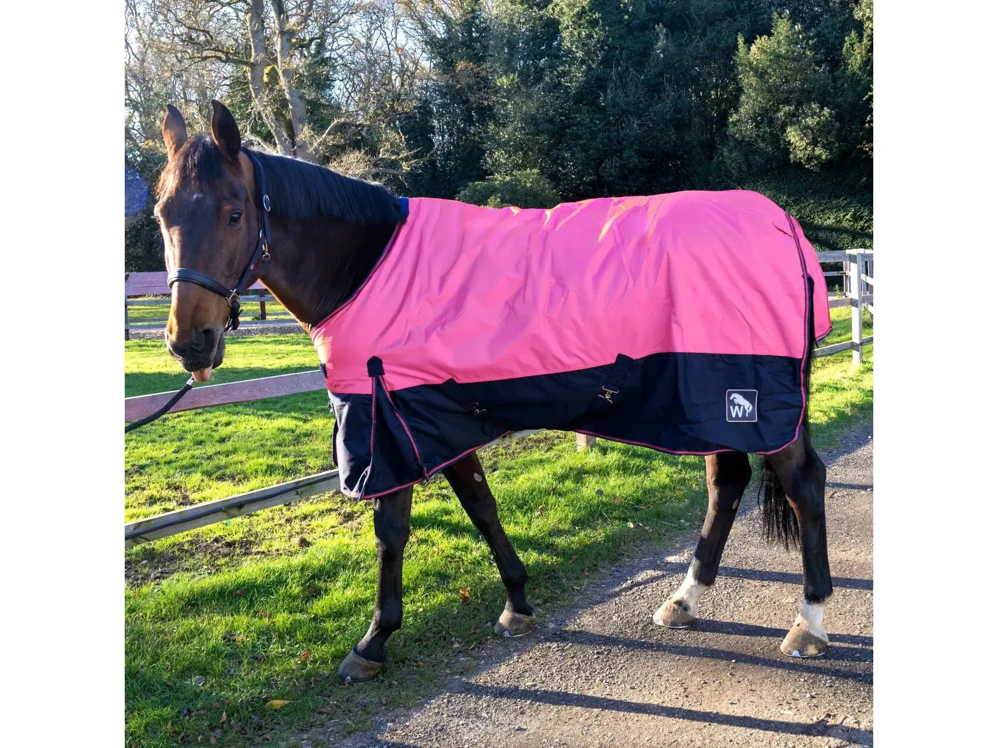 Whitaker W-Horse 0g Turnout Rug - Limited Edition in Pink and Navy