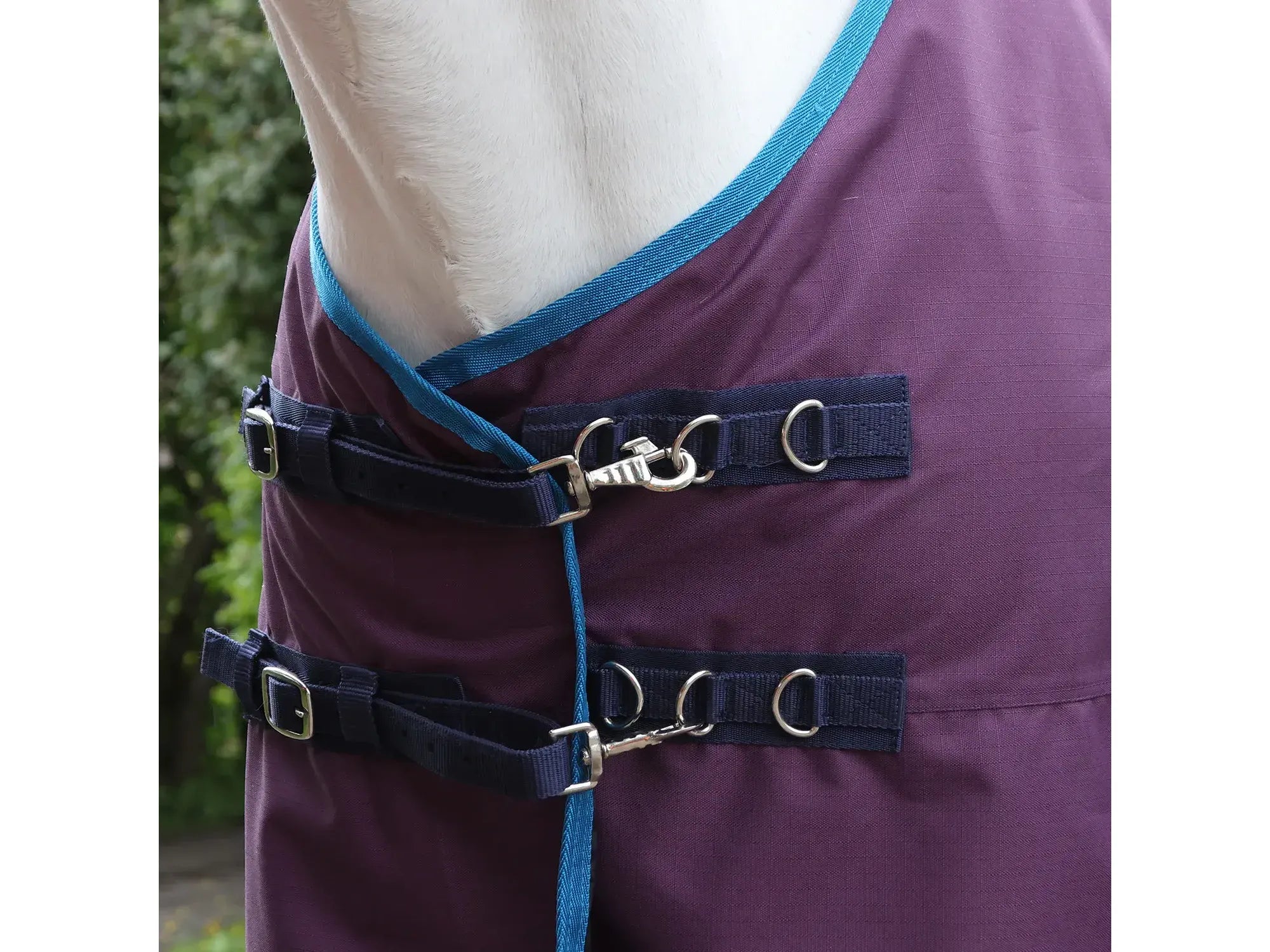 Whitaker W-Horse 0g Turnout Rug - Limited Edition in Plum