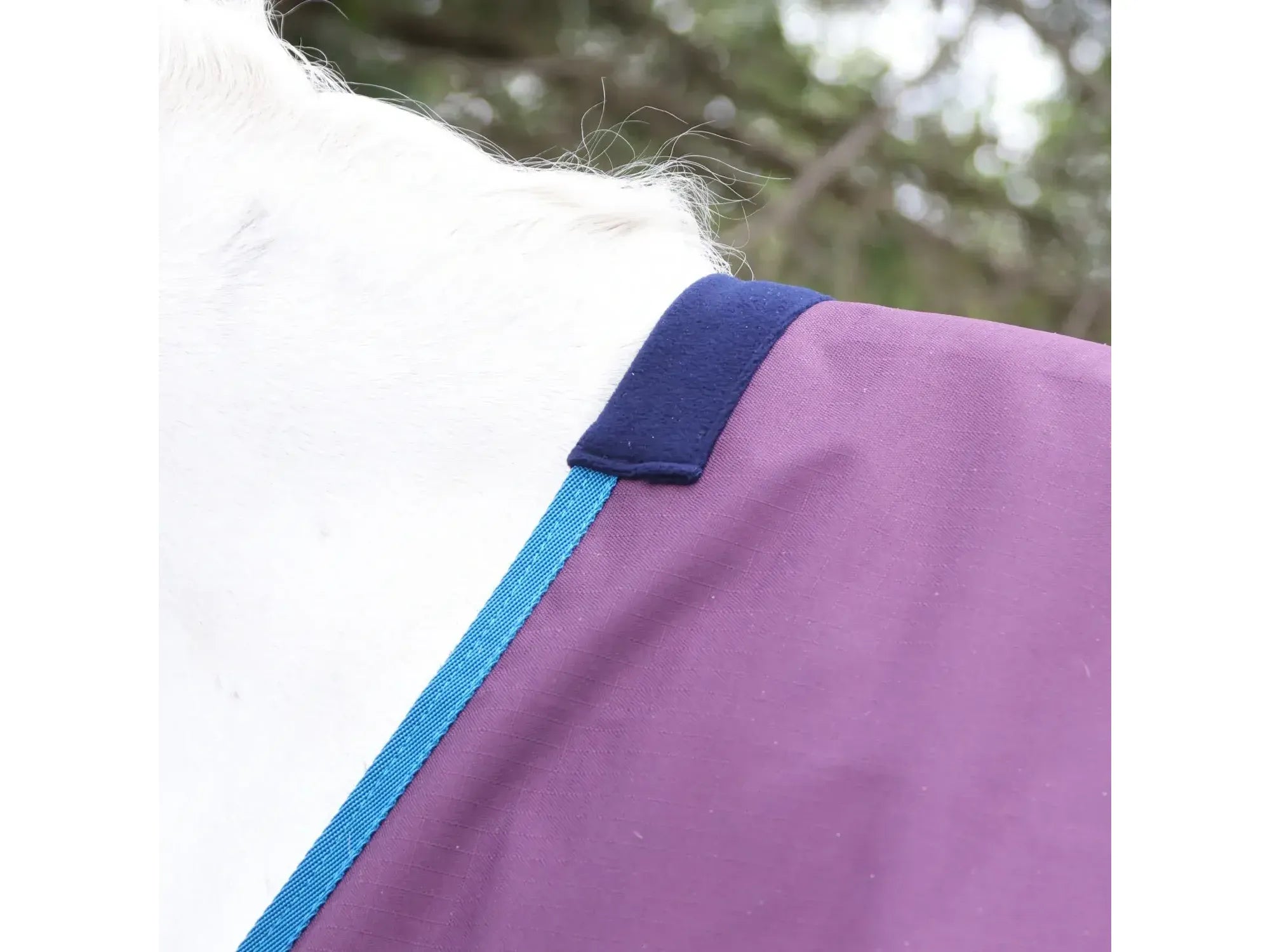 Whitaker W-Horse 0g Turnout Rug - Limited Edition in Plum