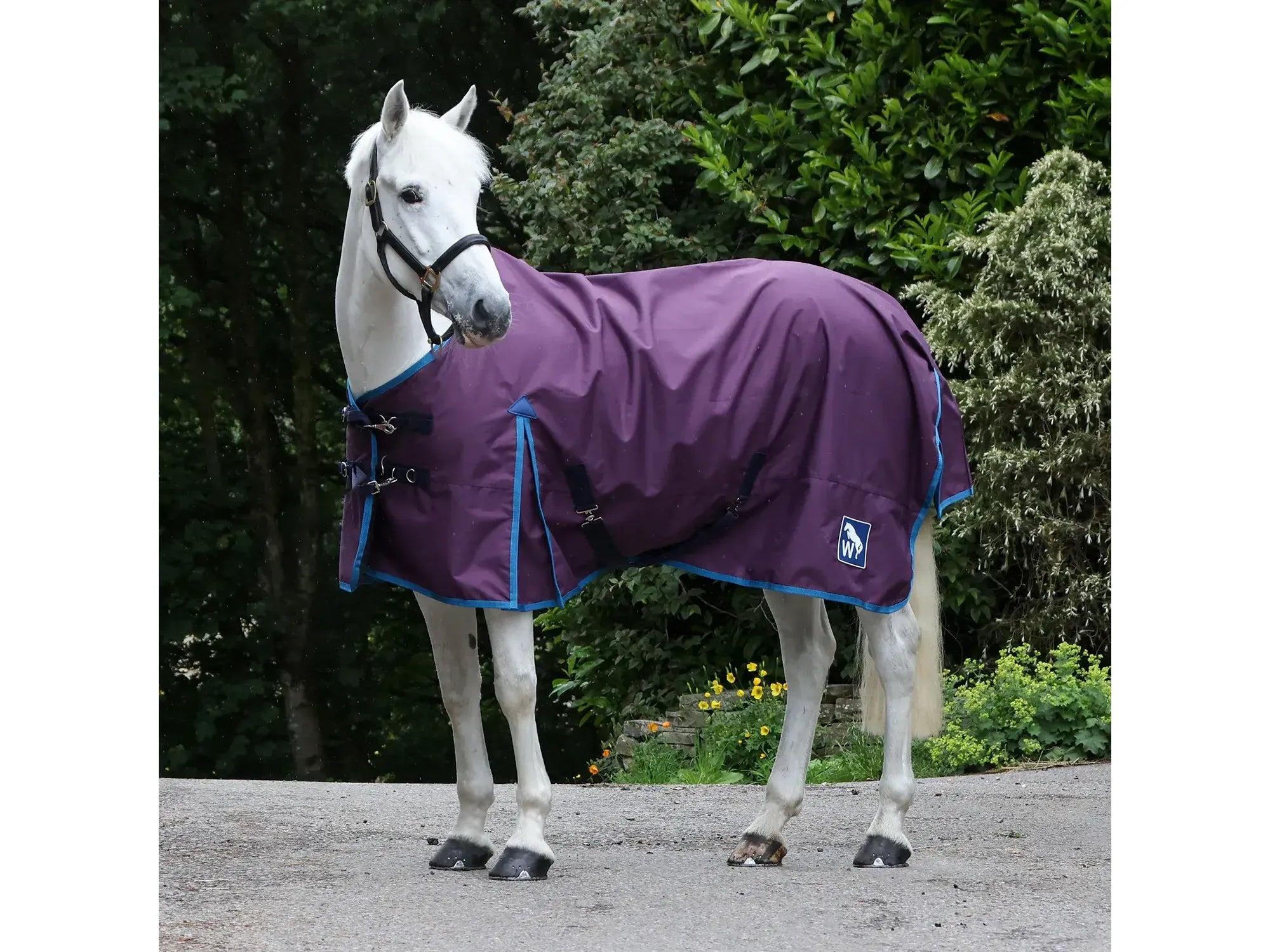 Whitaker W-Horse 0g Turnout Rug - Limited Edition in Plum