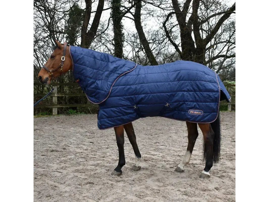 Whitaker Wisteria 200g Stable Rug in Navy