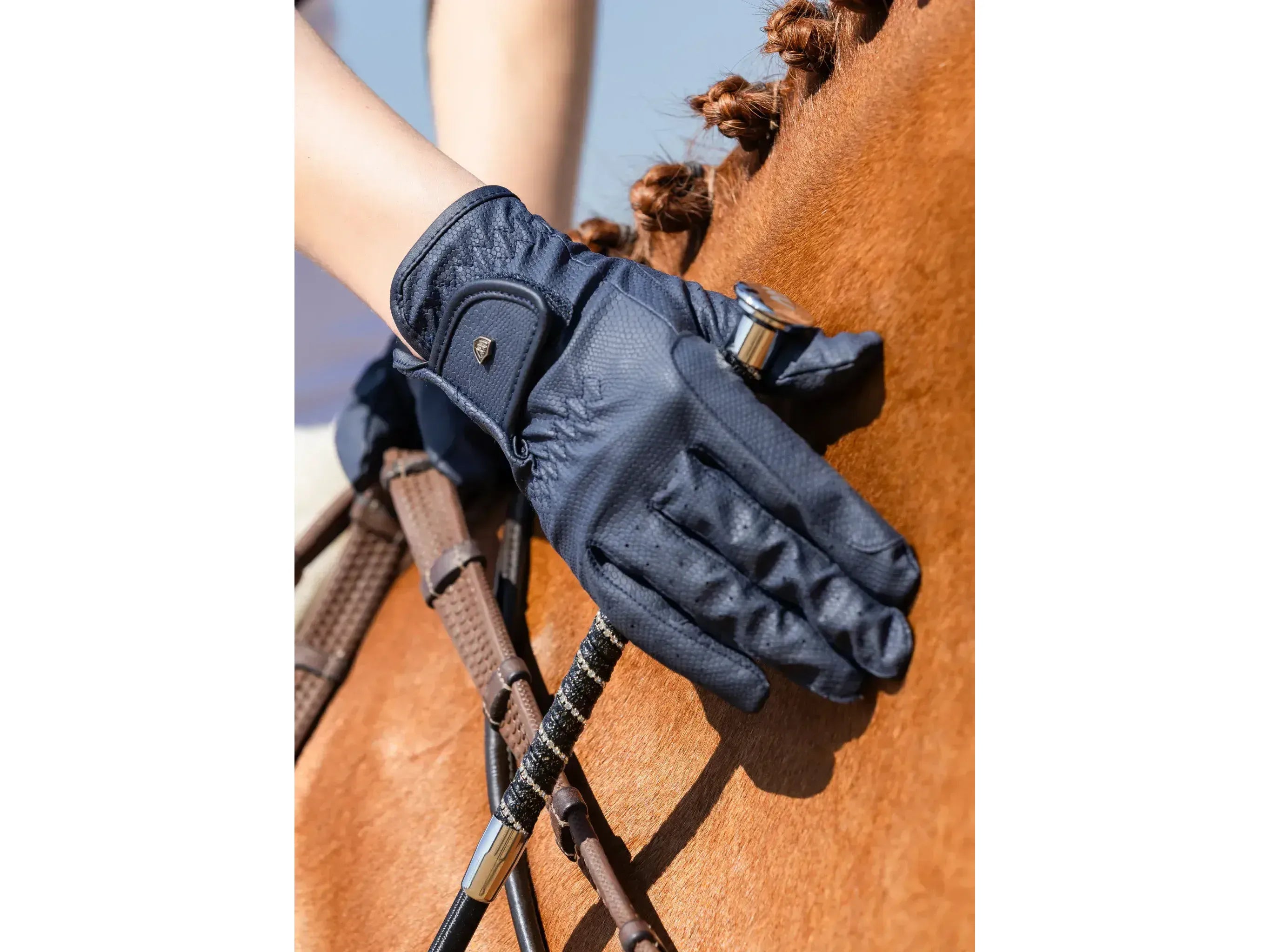 Woof Wear Competition Glove