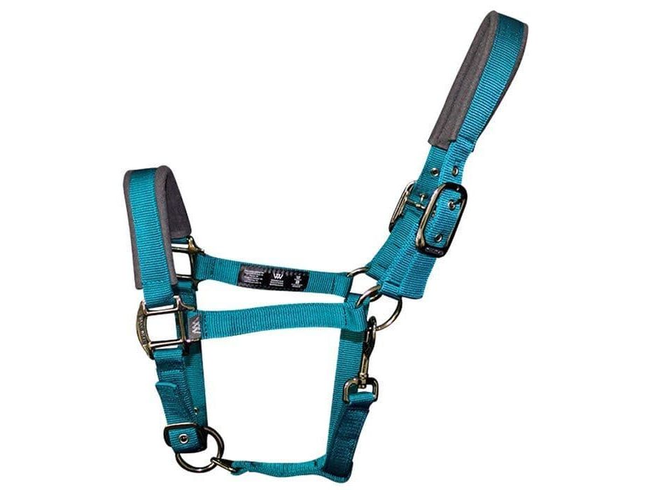 Woof Wear Contour Head Collar