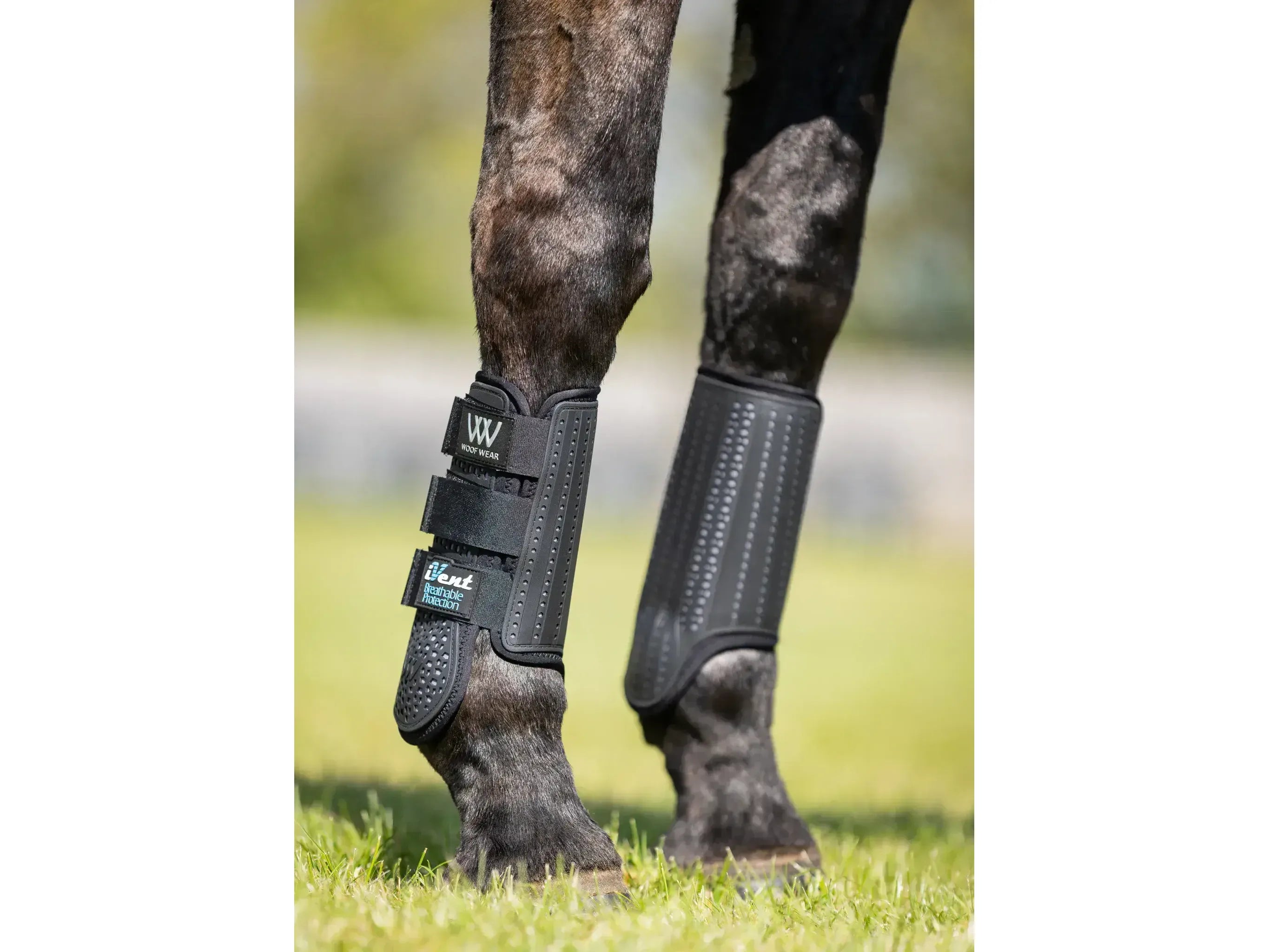 Woof Wear iVent Event Boot Front