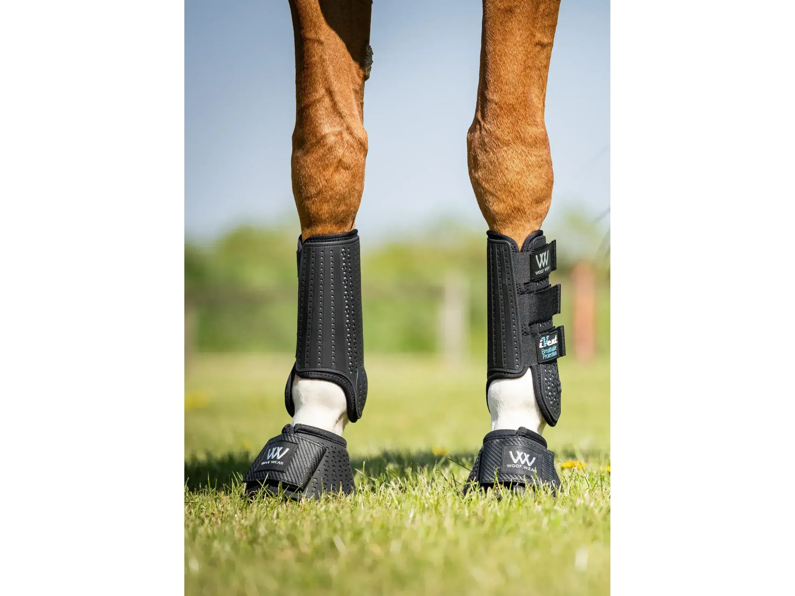 Woof Wear iVent Event Boot Front