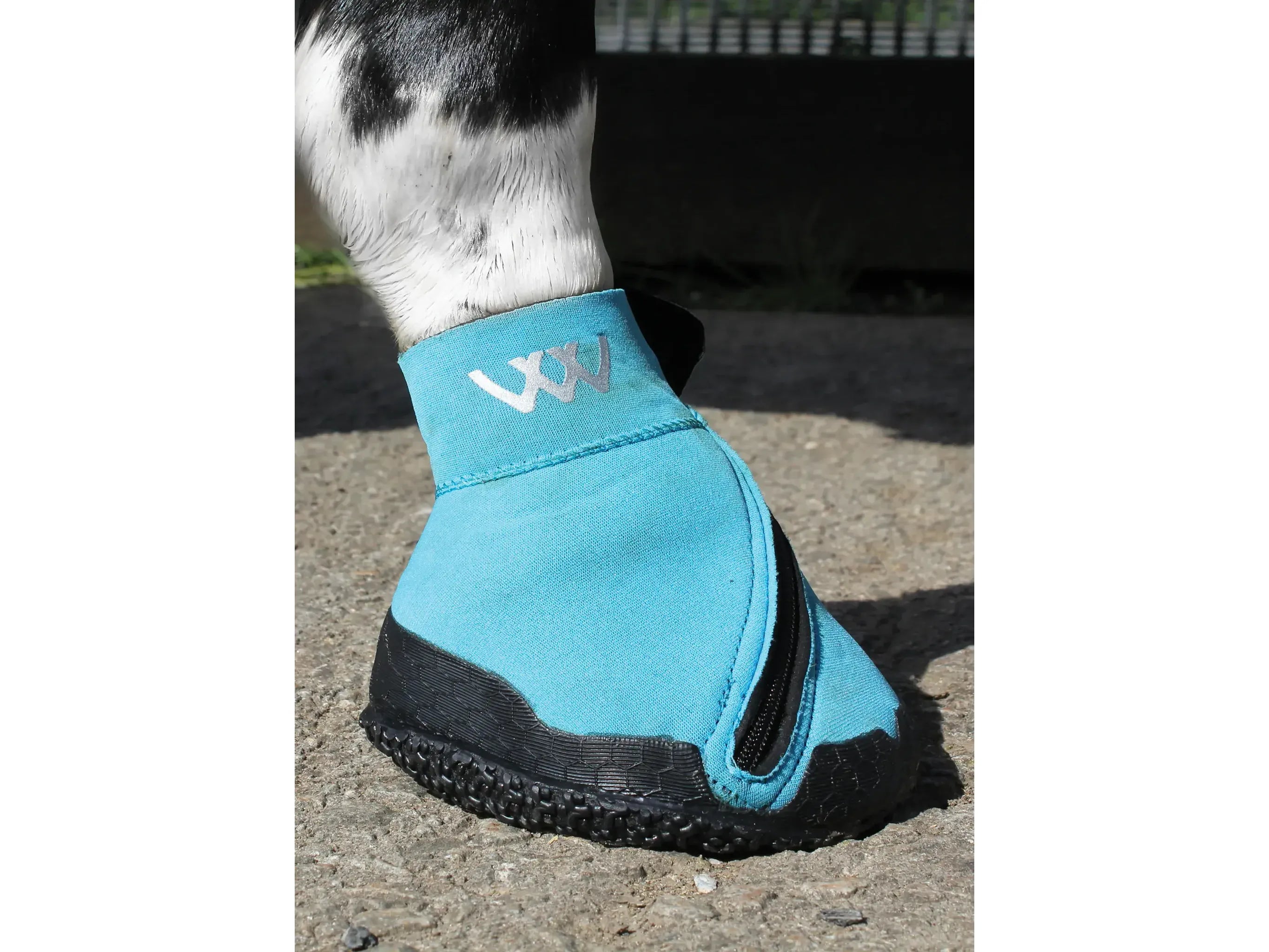 Woof Wear Medical Hoof Boot