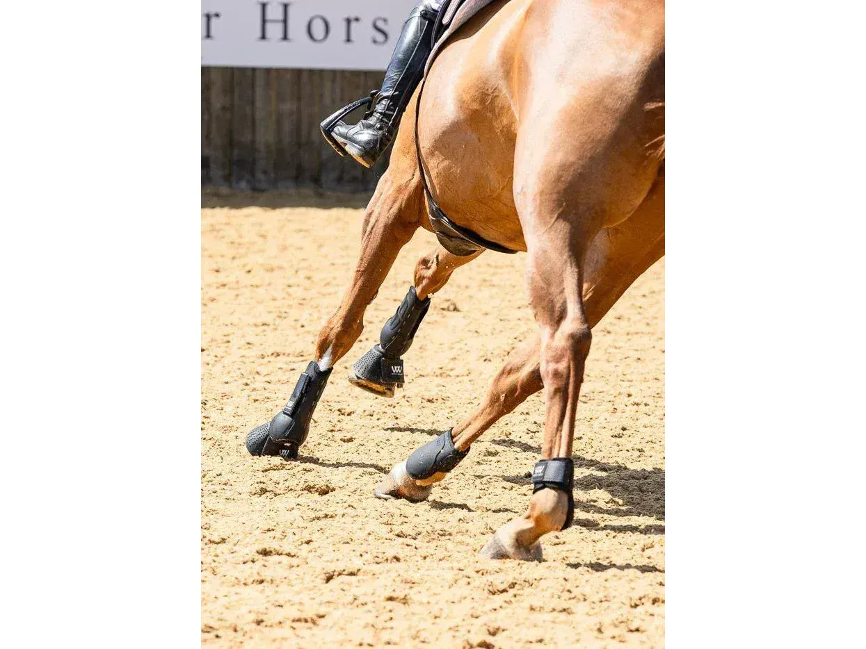 Woof Wear Pro Fetlock Boot