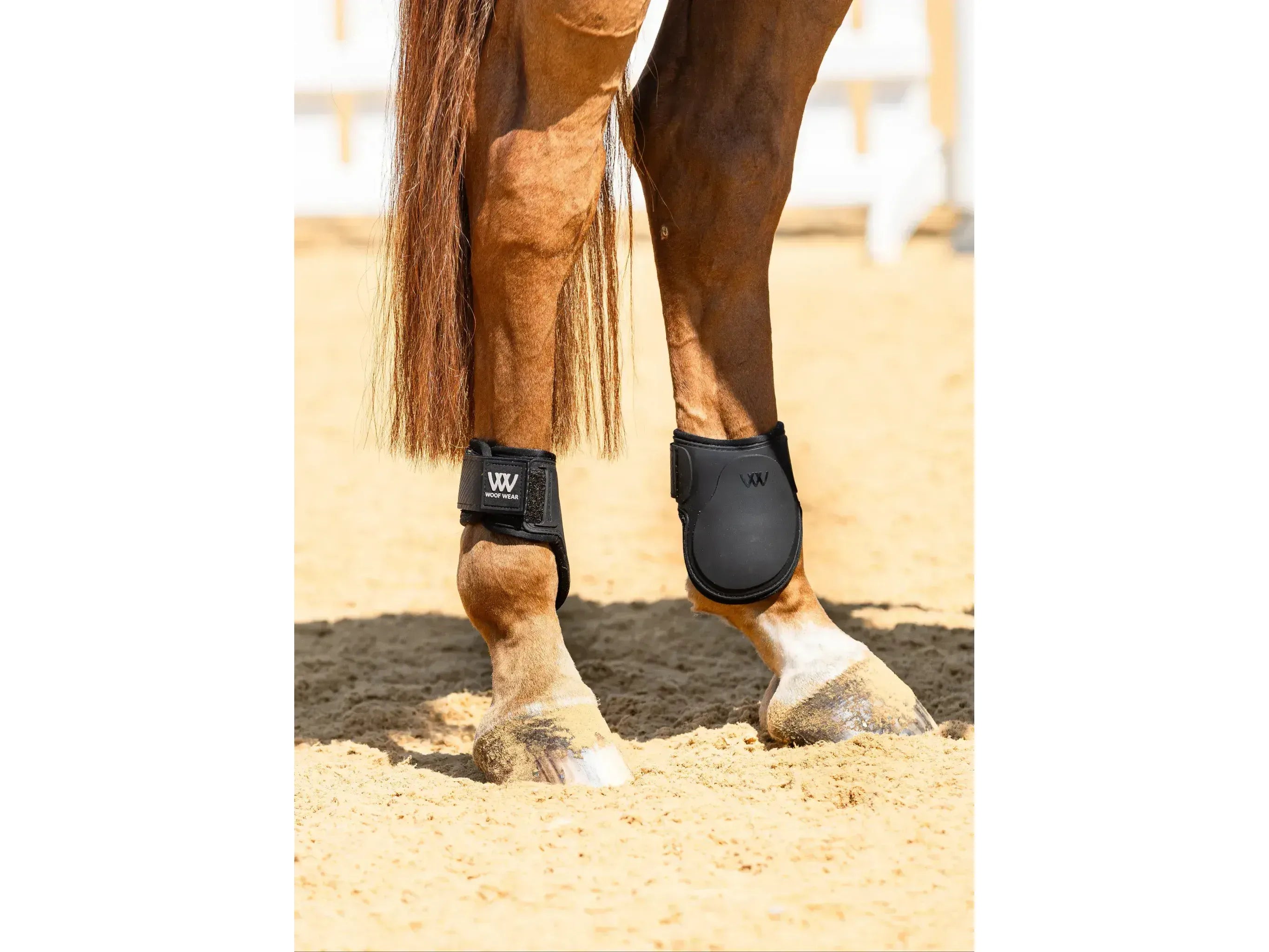 Woof Wear Pro Fetlock Boot