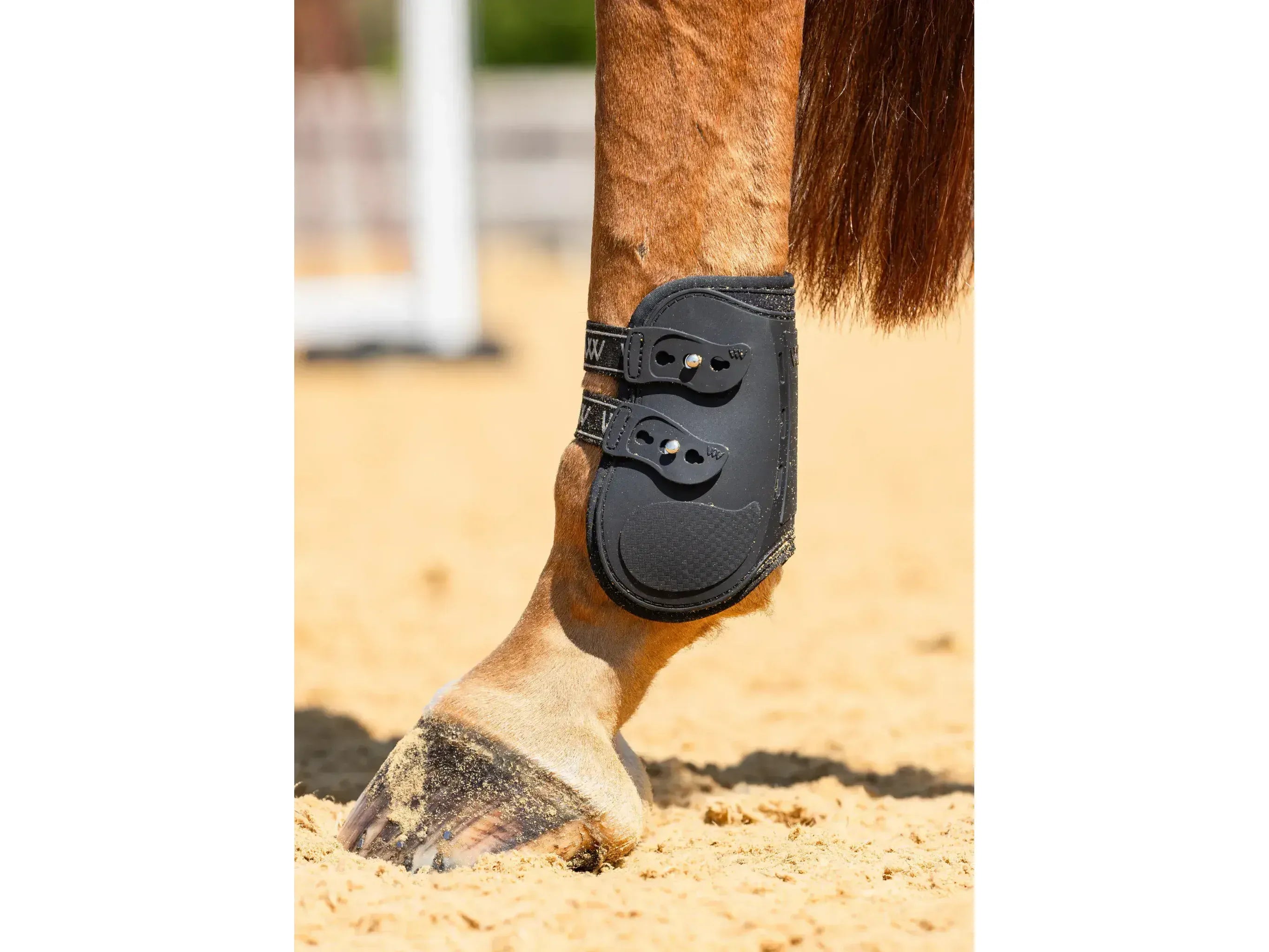 Woof Wear Vision Elegance Fetlock Boot