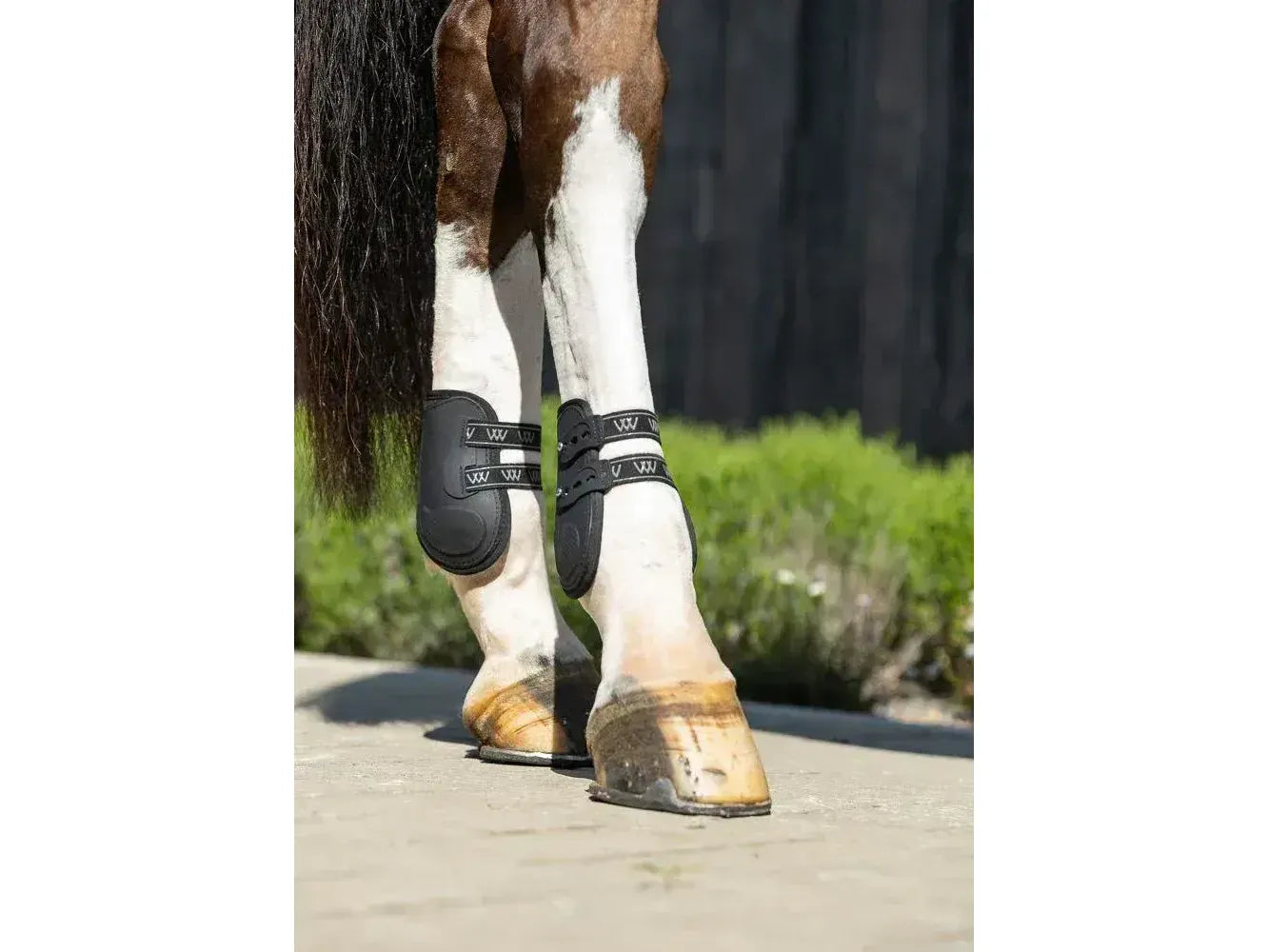 Woof Wear Vision Elegance Fetlock Boot