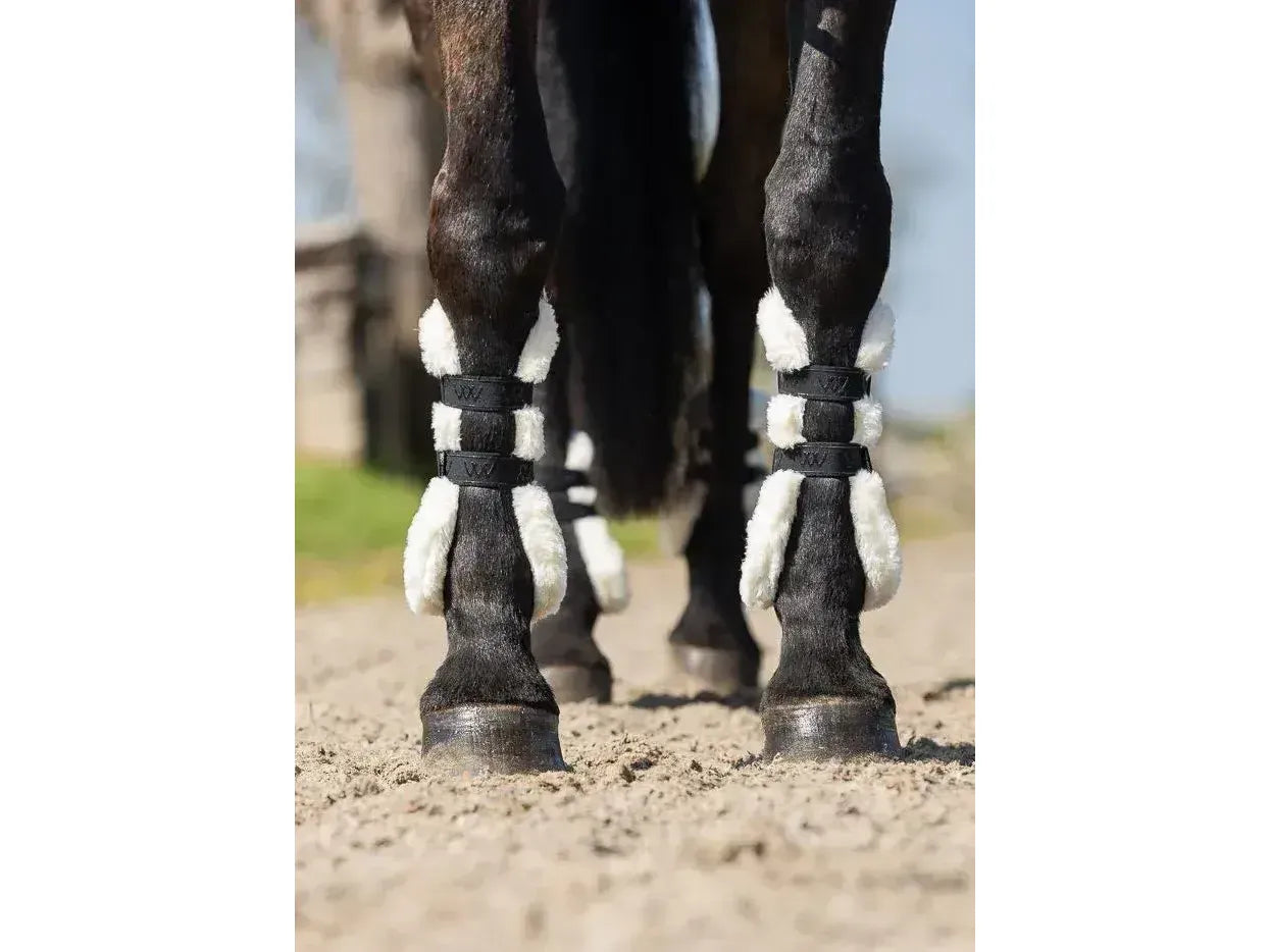 Woof Wear Vision Elegance Tendon Boot