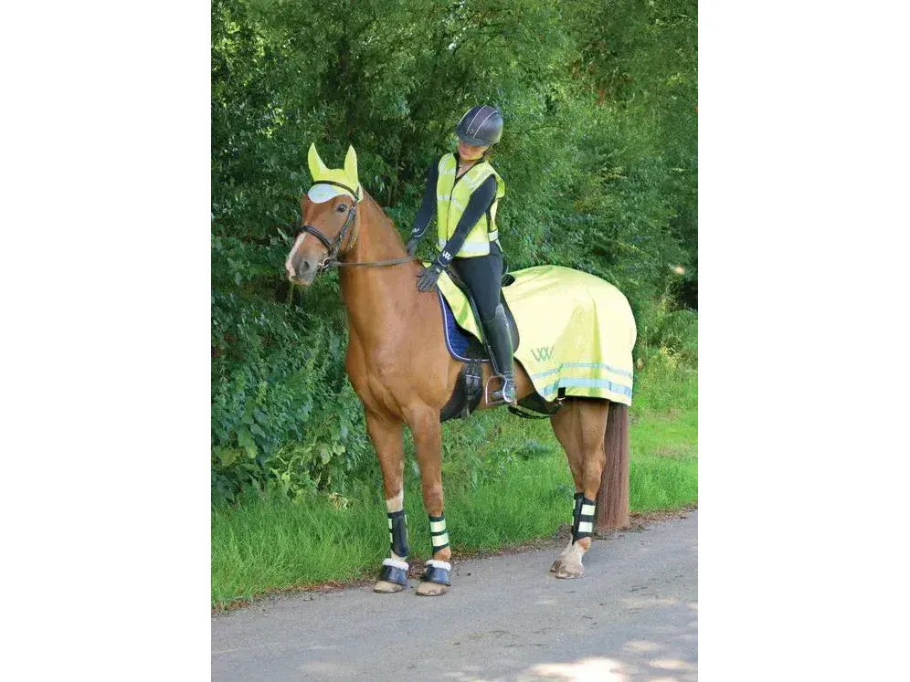 Woof Wear Winter Hi Vis Exercise Sheet