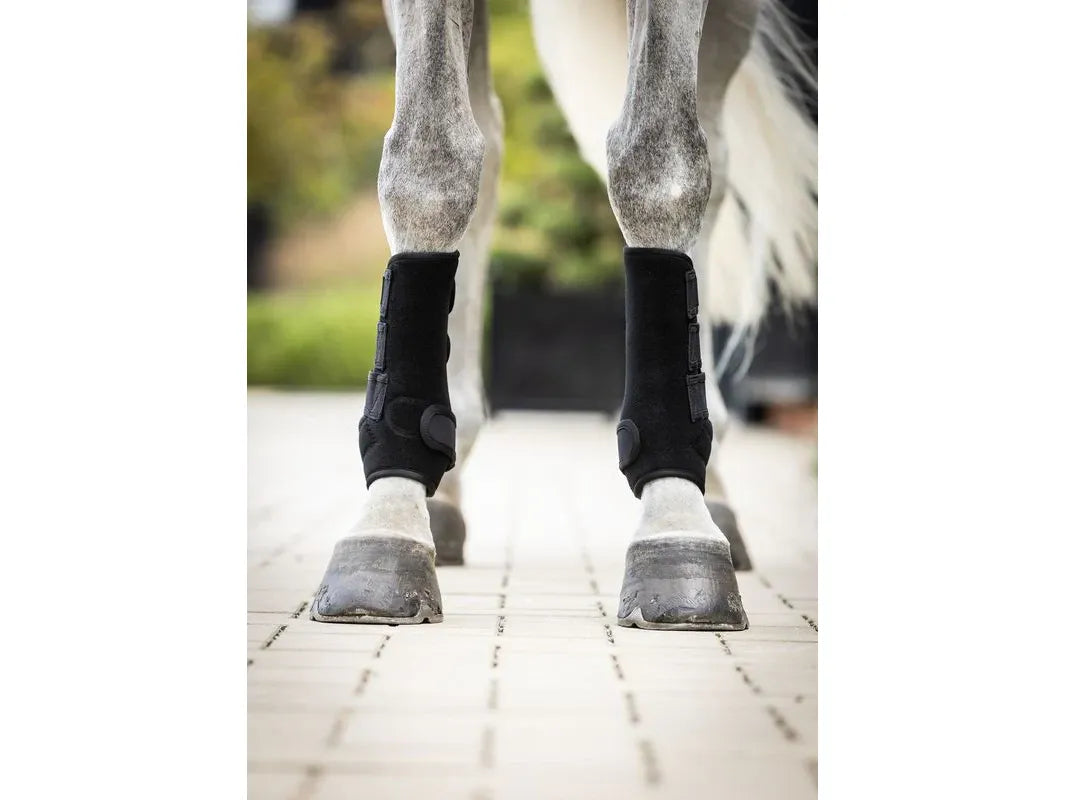 Woof Wear Training Wrap Large Black RRP £39.99