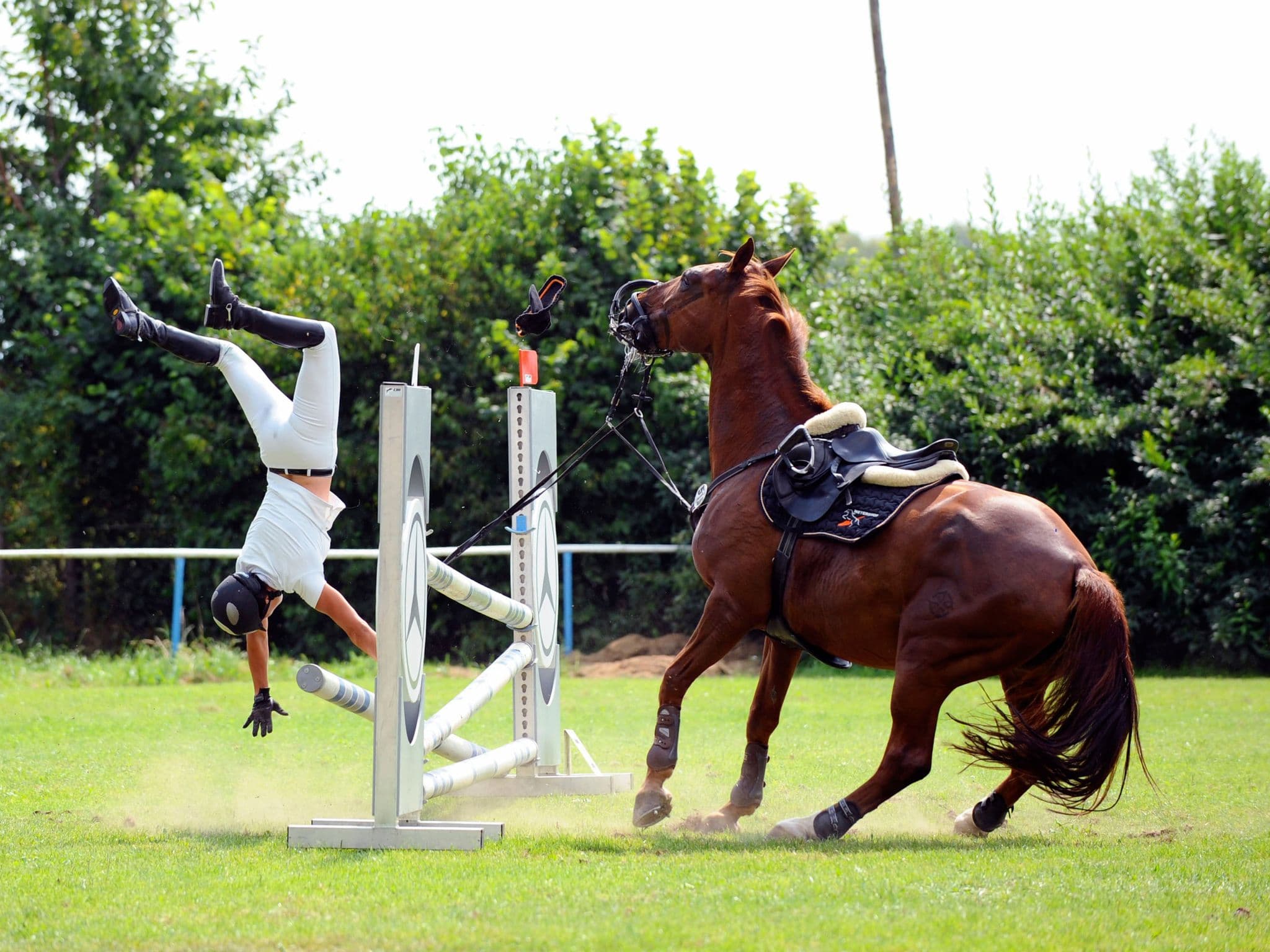 Buying a Riding Hat | Can I use it for competition in 2026?