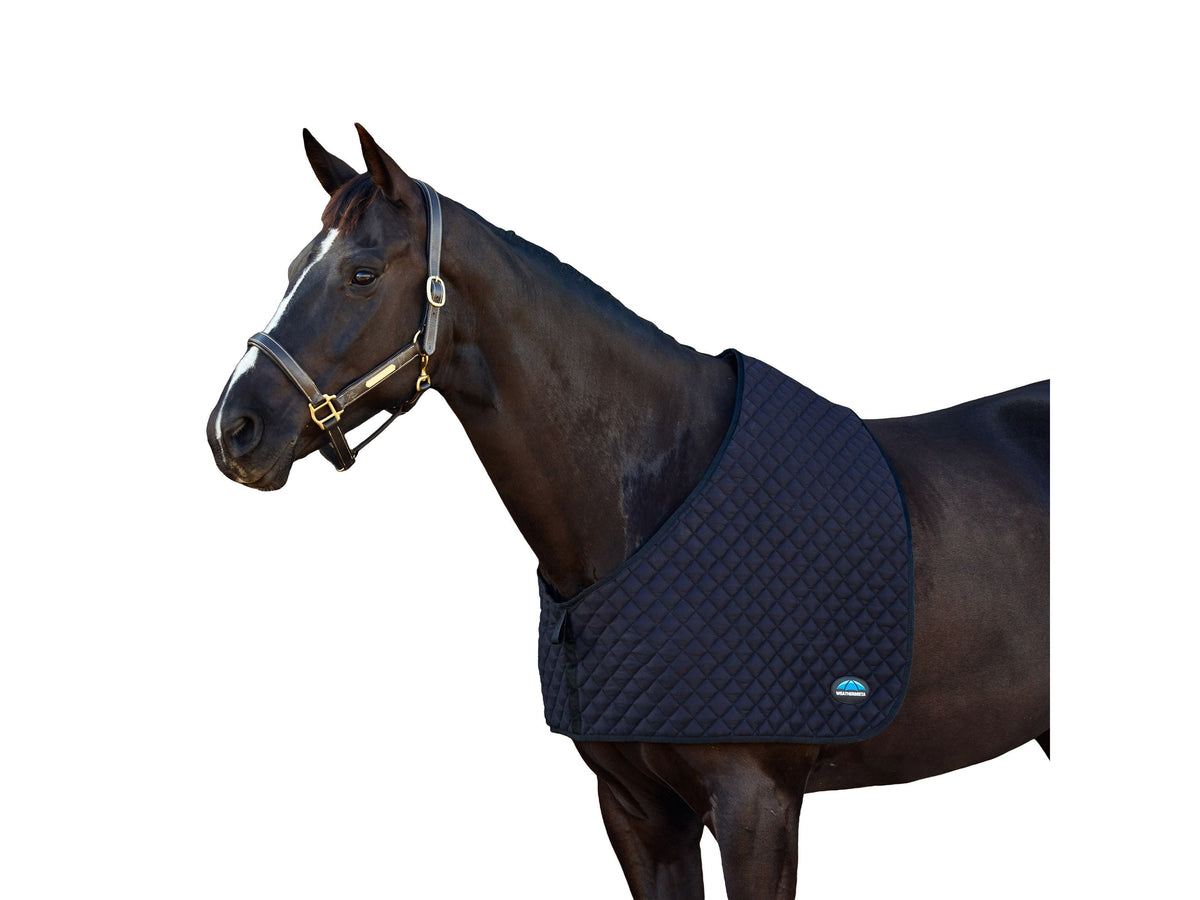 WeatherBeeta Deluxe Shoulder Guard in Black