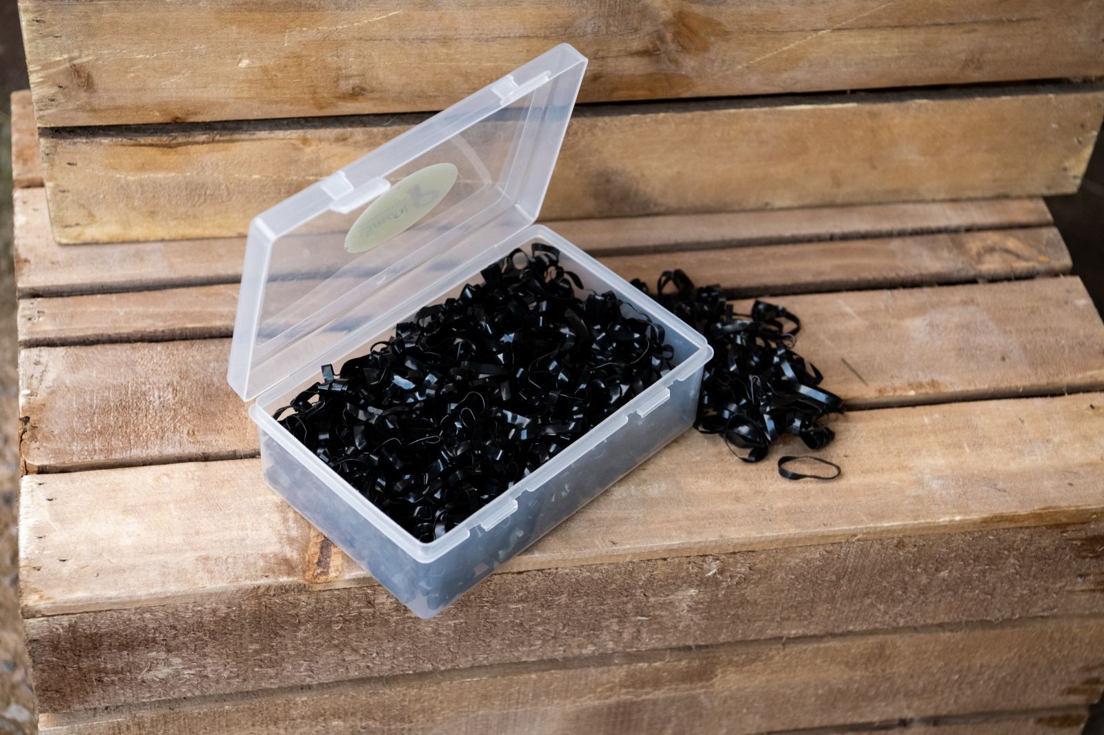 silicone plaiting bands tub of 1000 - equestrian equipment