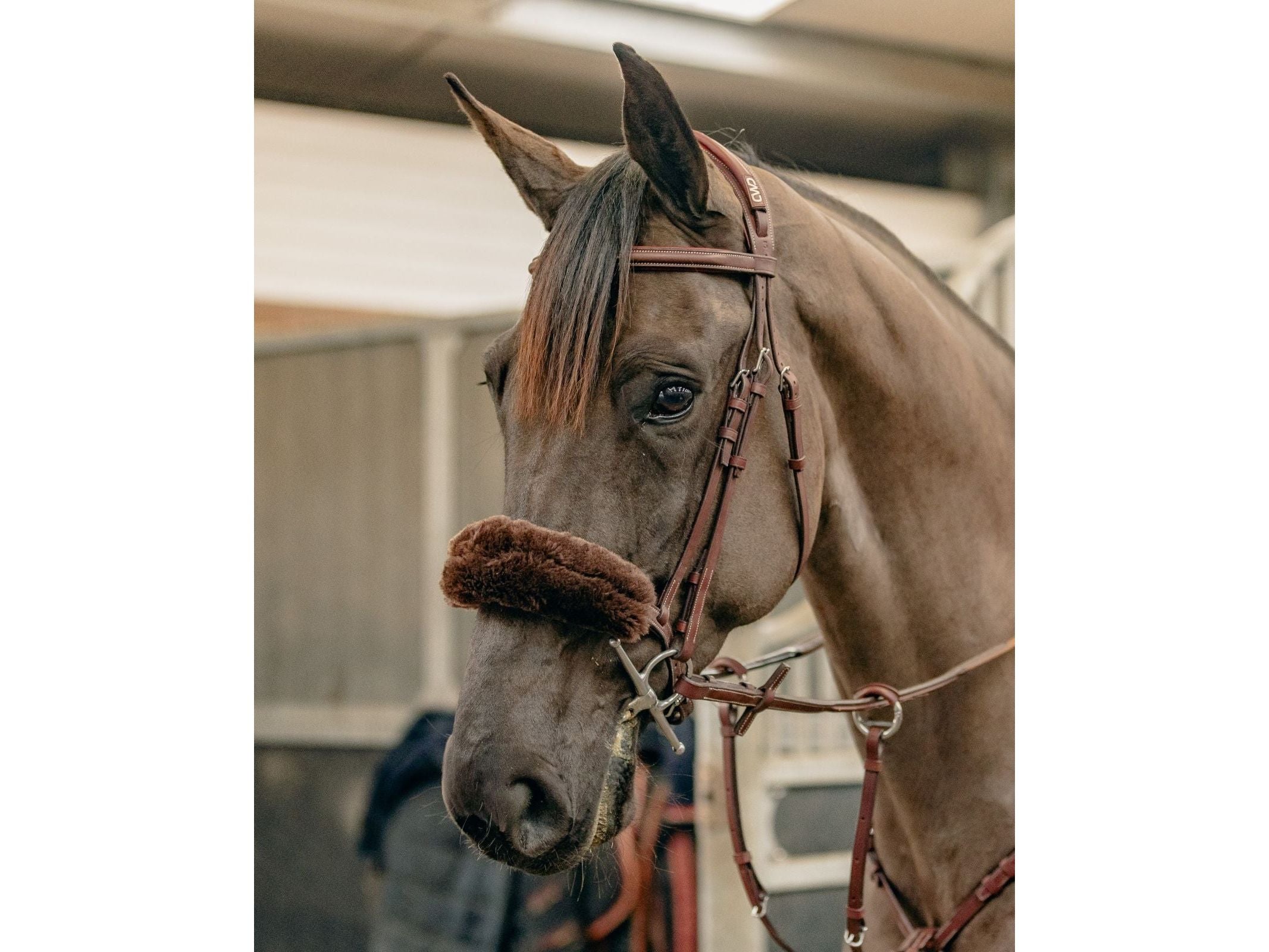 km elite teddy soft noseband cover - equestrian equipment