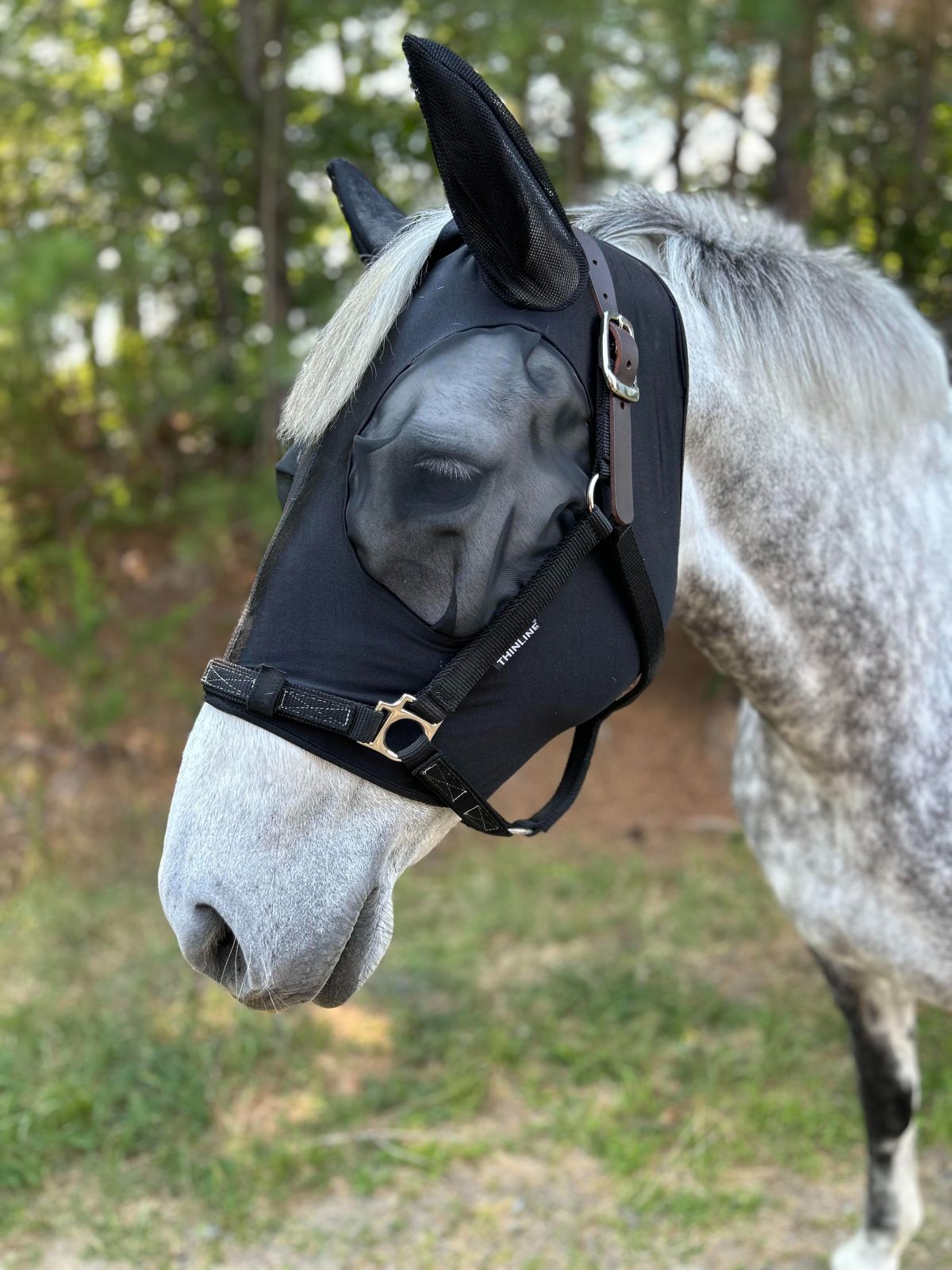 thinline softfit fly mask - equestrian equipment