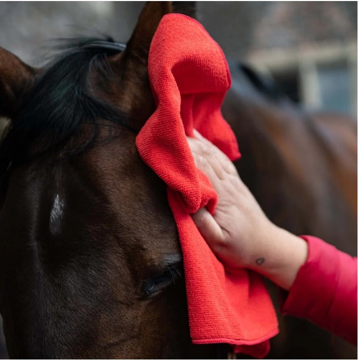 microfibre cloth (10 pack) - equestrian equipment