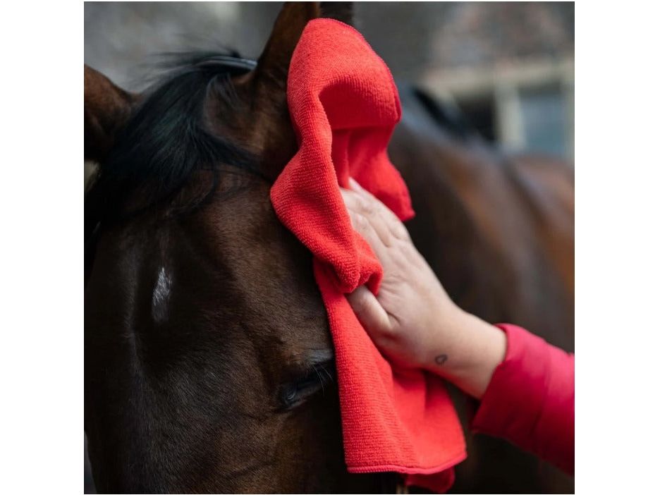 microfibre cloth (10 pack) - equestrian equipment