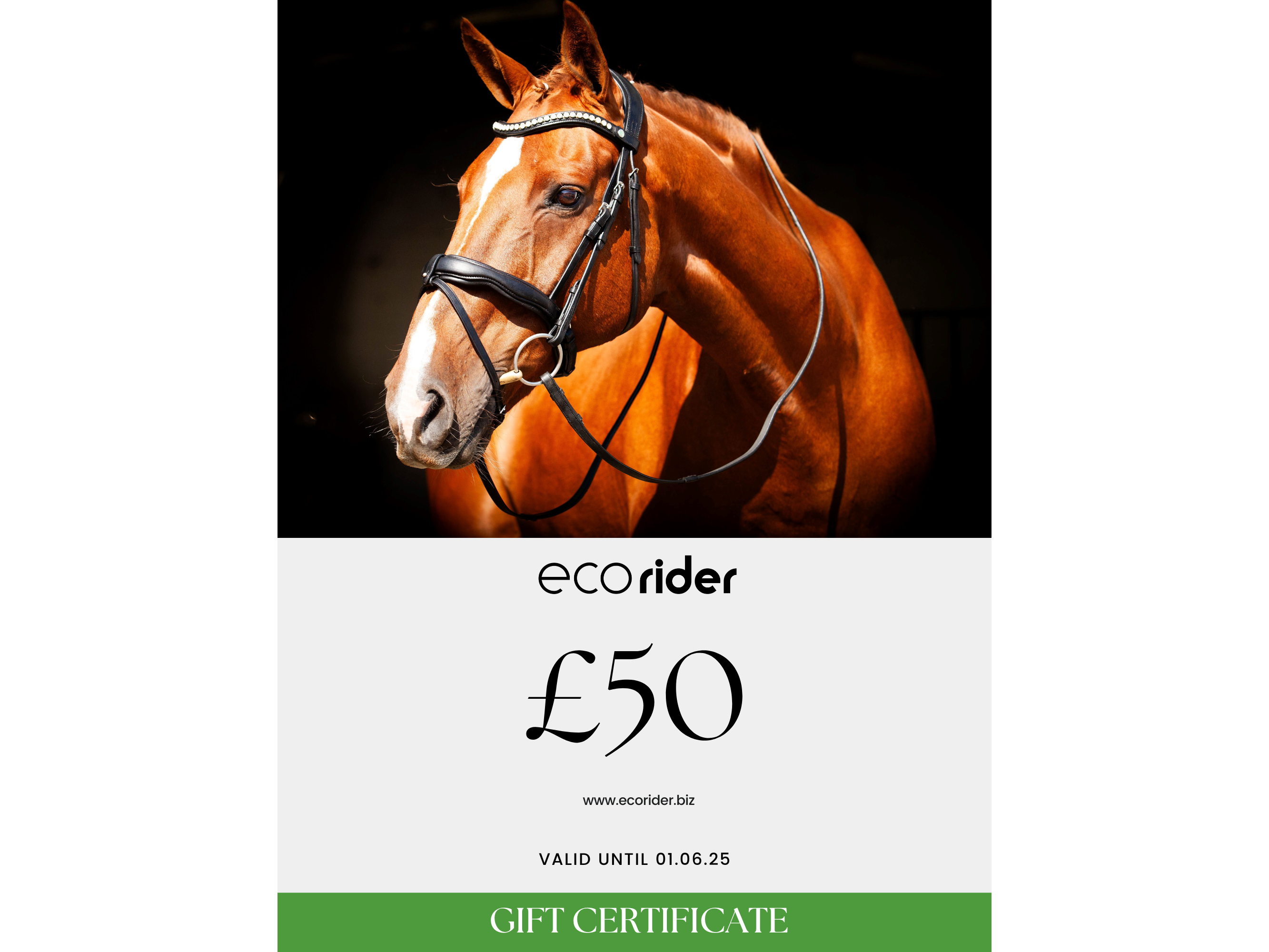 Ecorider Gift Card main view