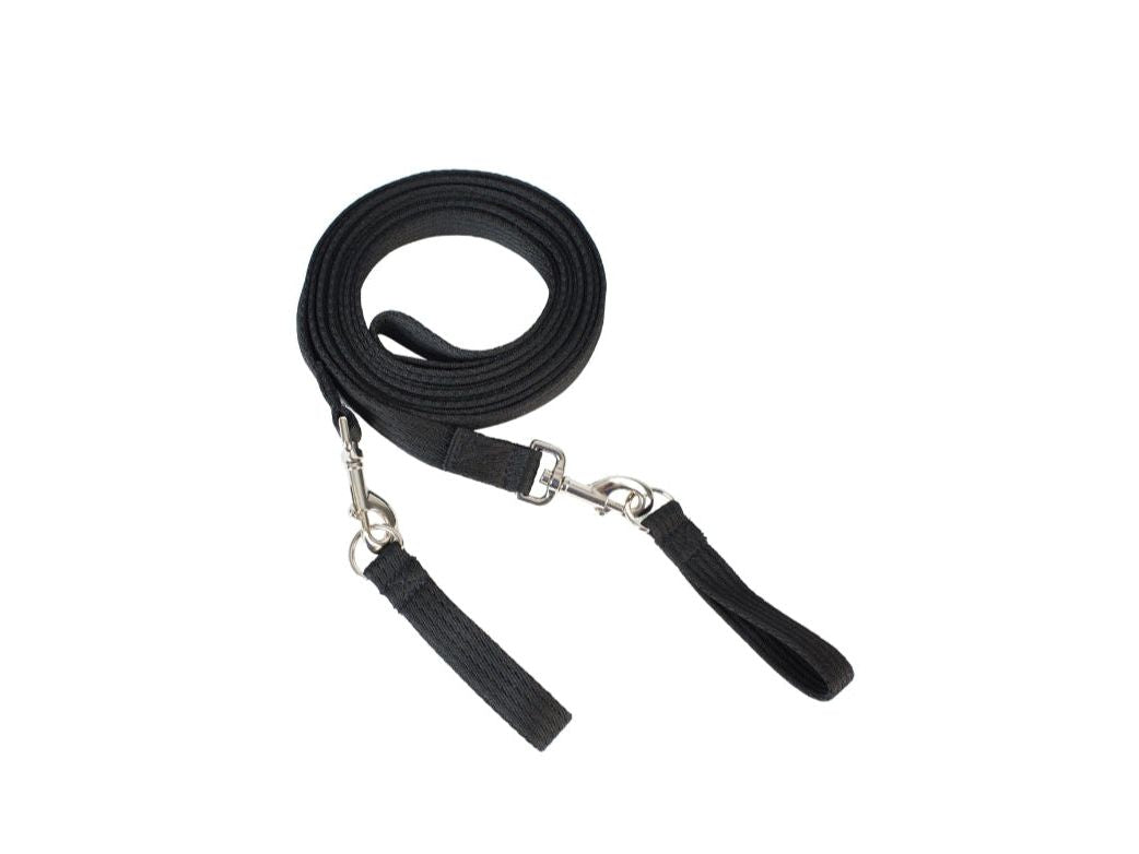 Draw Reins main view
