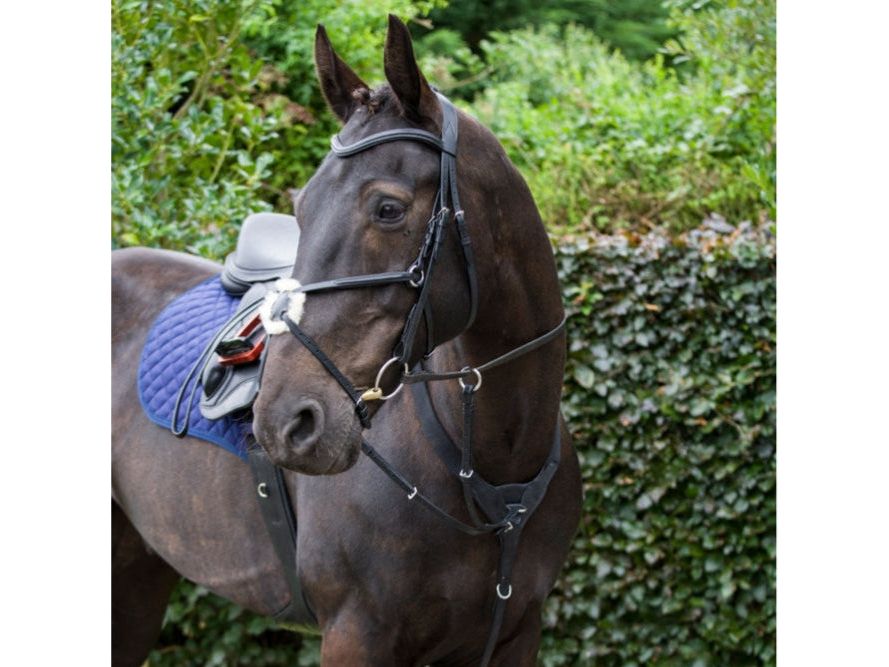 Performance Elasticated Breastplate main view