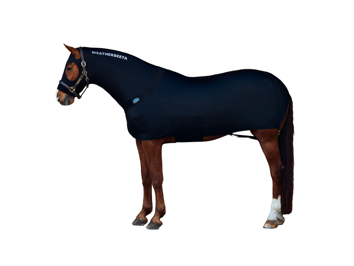 WeatherBeeta Stretch Rug in Black
