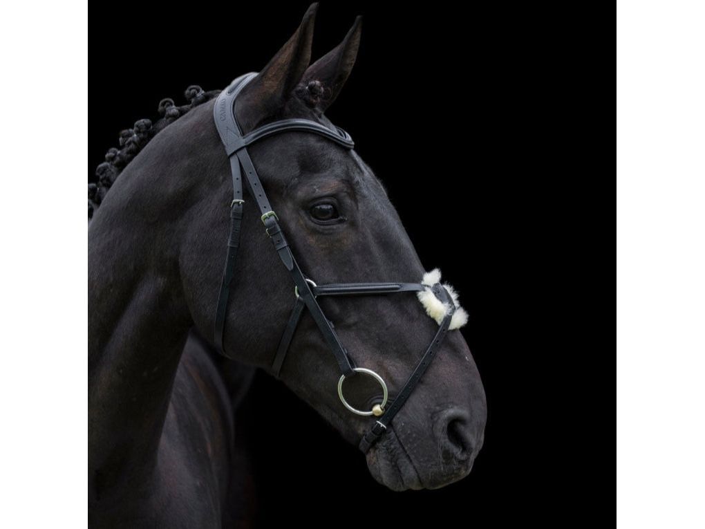 Anatomic Grackle Bridle side view