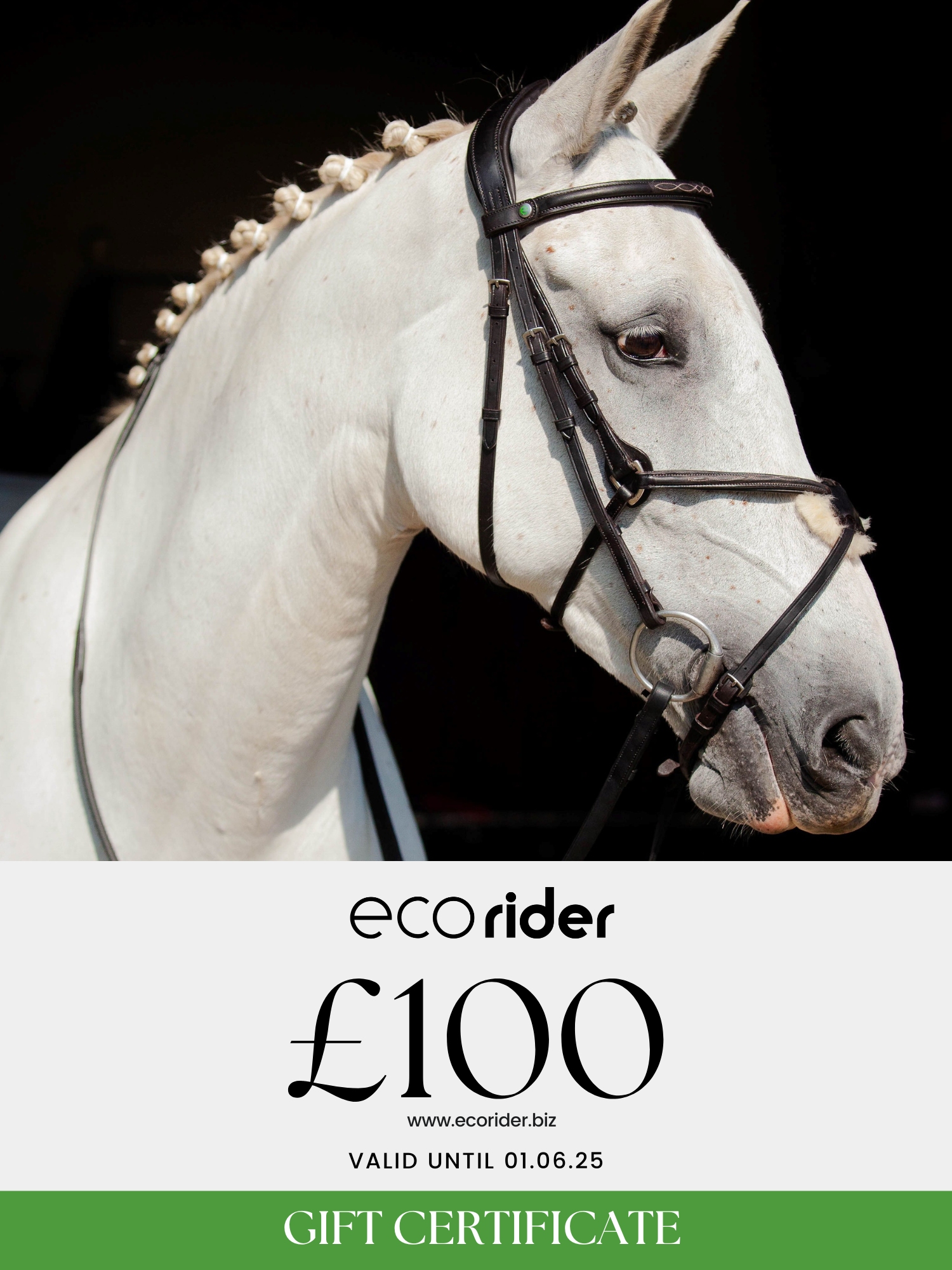Ecorider Gift Card