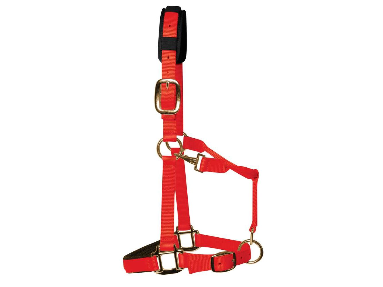 km elite padded headcollar red - equestrian equipment