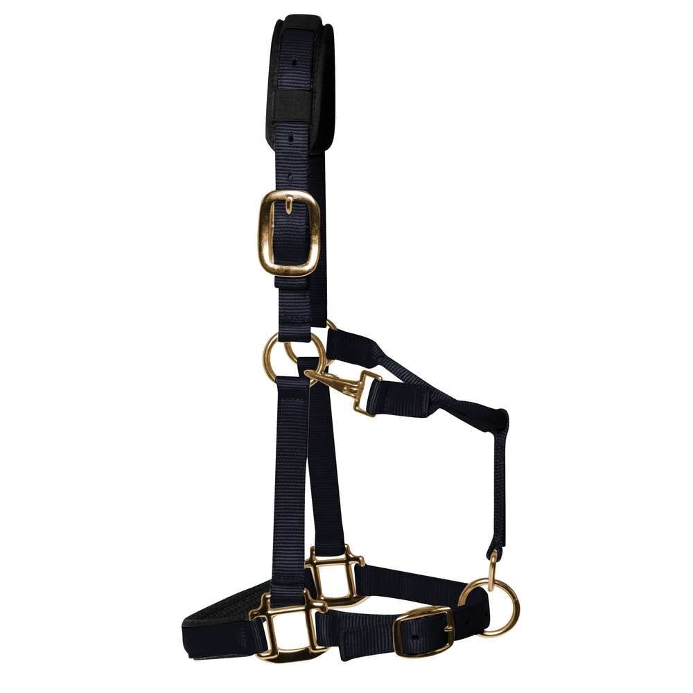 km elite padded headcollar black - equestrian equipment