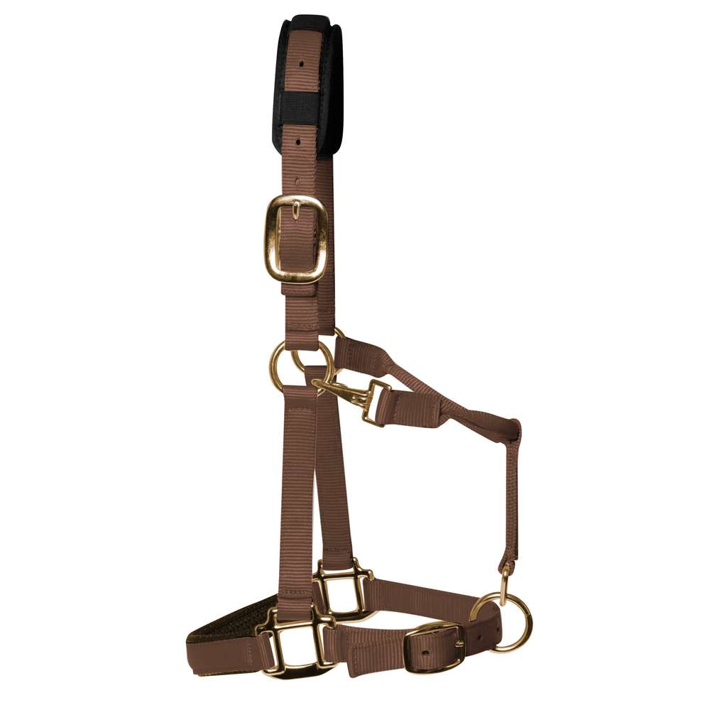 km elite padded headcollar brown - equestrian equipment