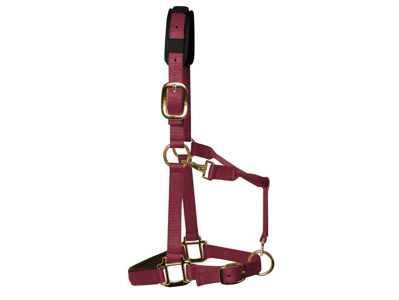 km elite padded headcollar burgundy - equestrian equipment