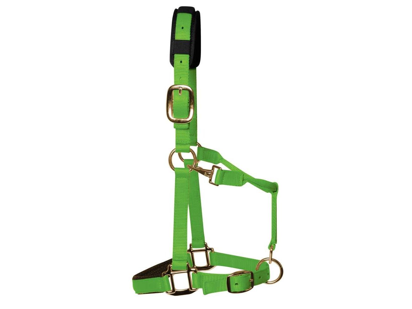 km elite padded headcollar hot green - equestrian equipment