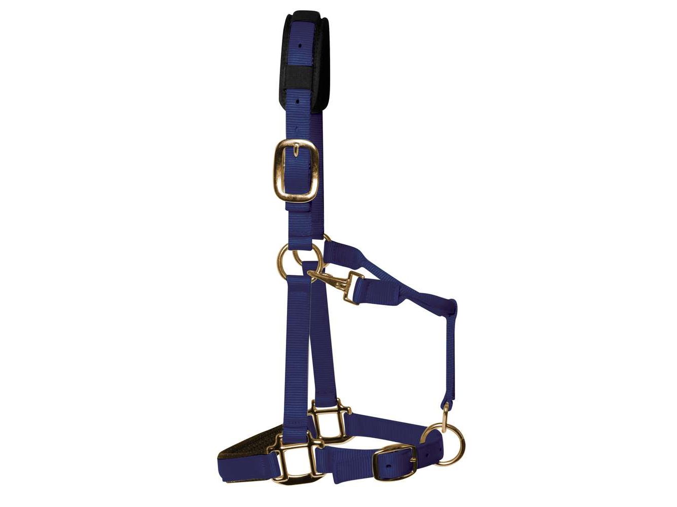 km elite padded headcollar navy - equestrian equipment