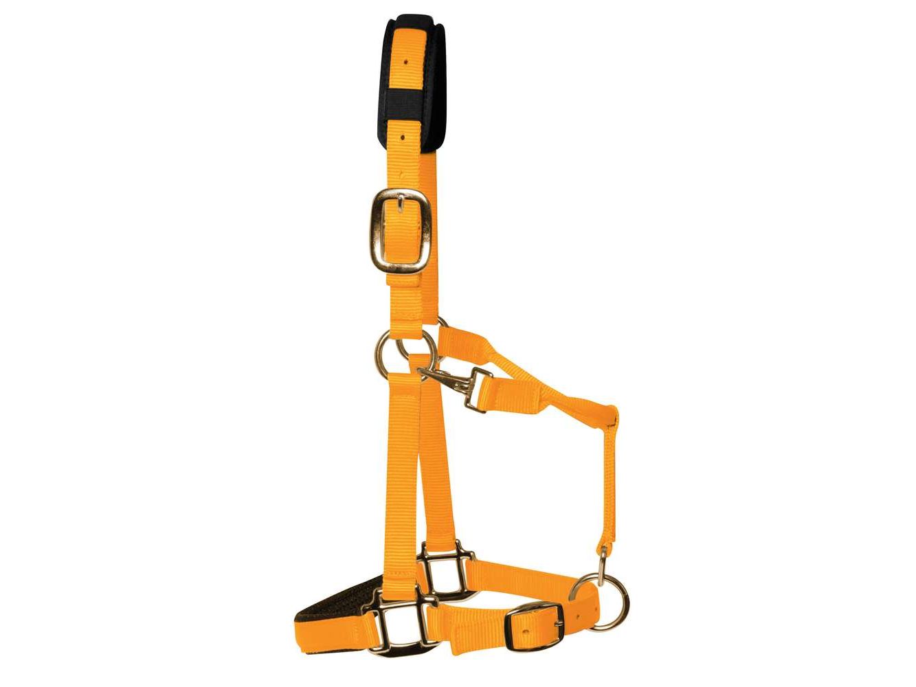 km elite padded headcollar orange - equestrian equipment