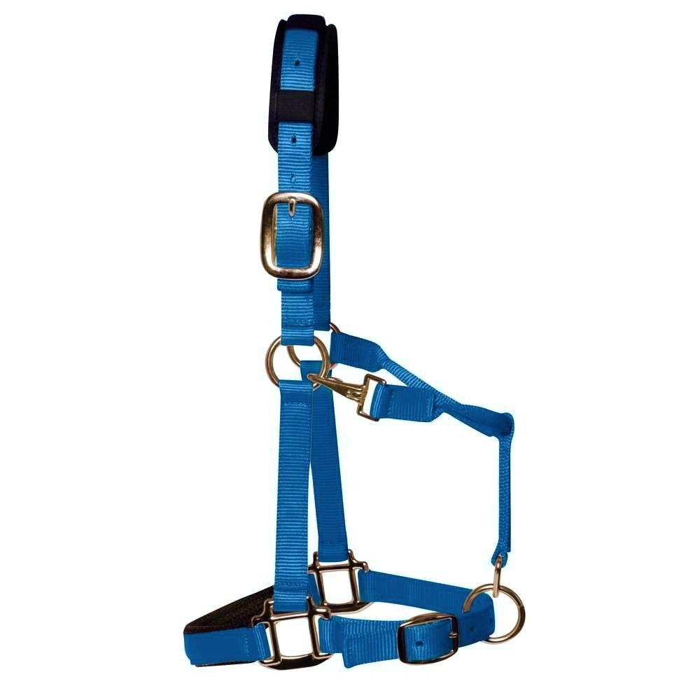 km elite padded headcollar teal blue - equestrian equipment