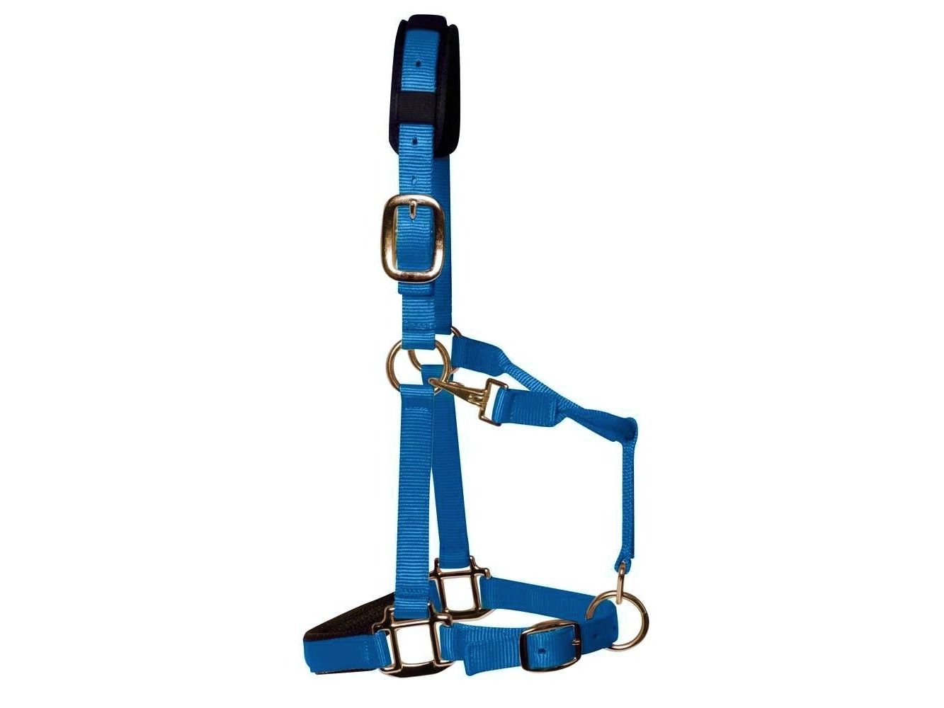 km elite padded headcollar teal blue - equestrian equipment