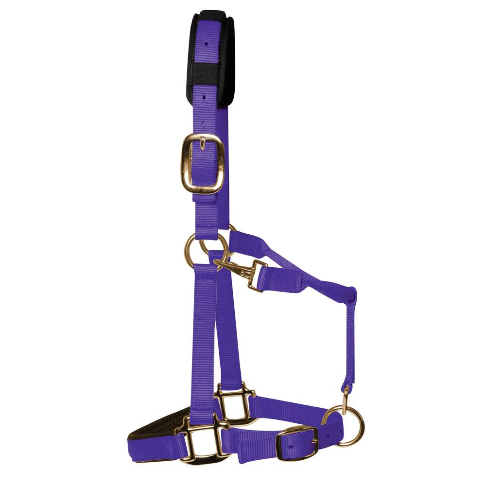 km elite padded headcollar purple - equestrian equipment