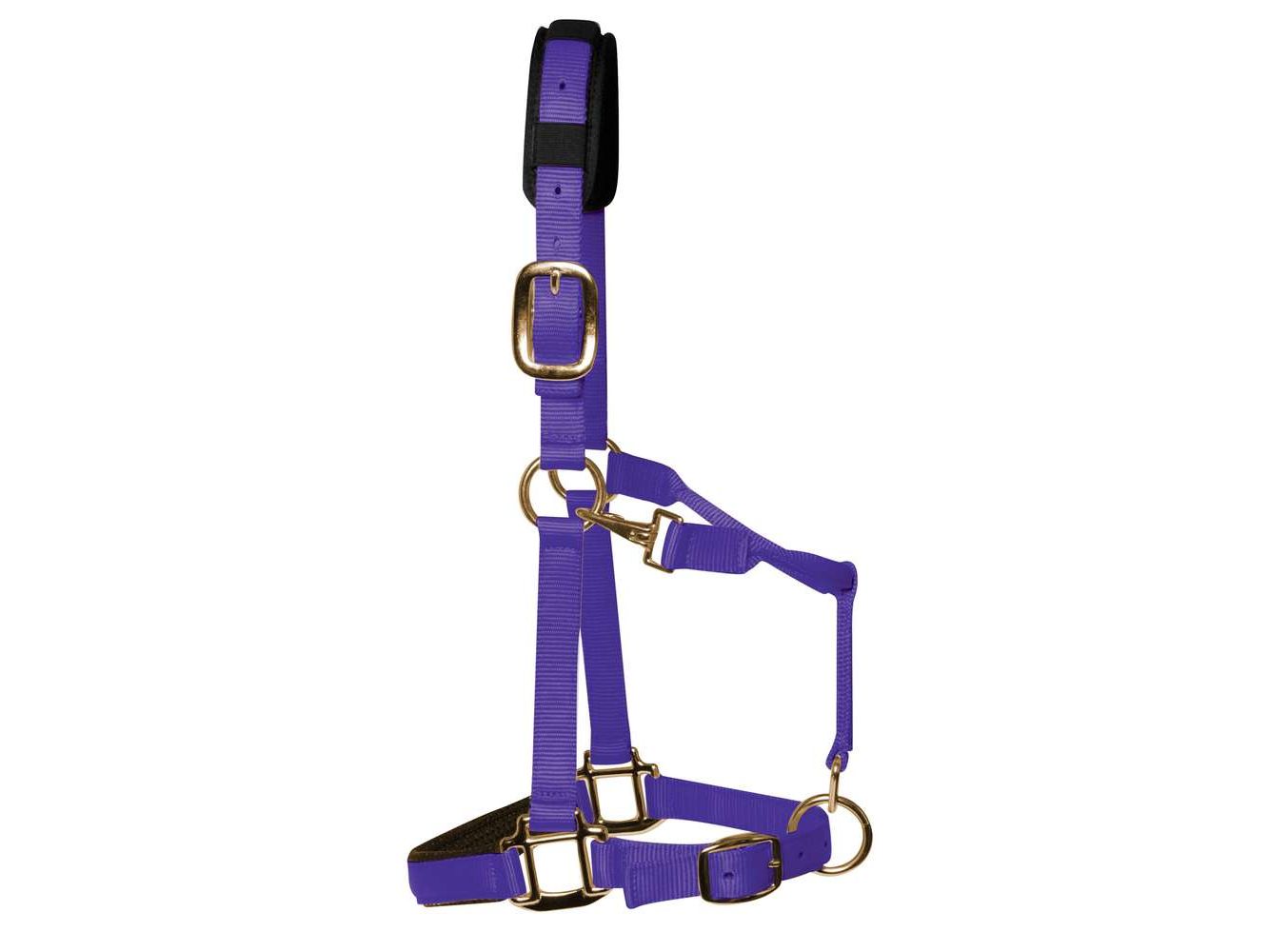 km elite padded headcollar purple - equestrian equipment