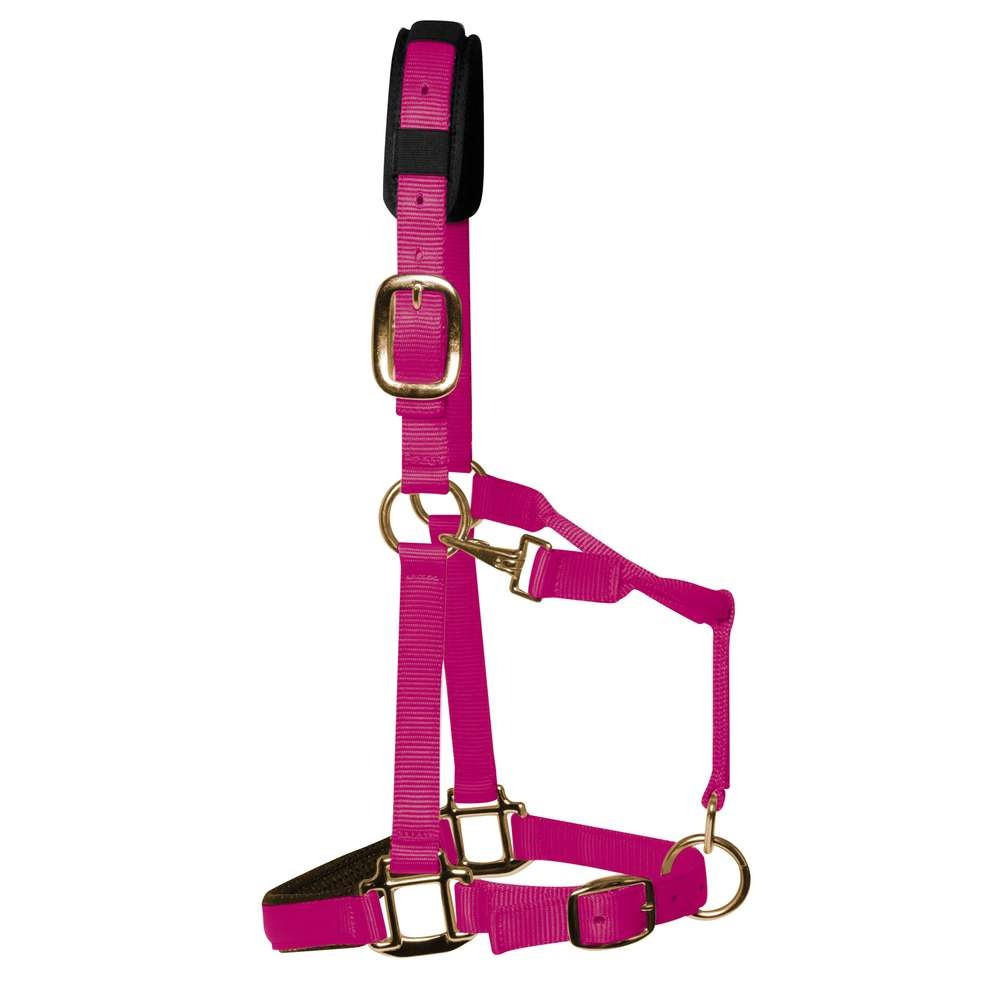 km elite padded headcollar raspberry - equestrian equipment